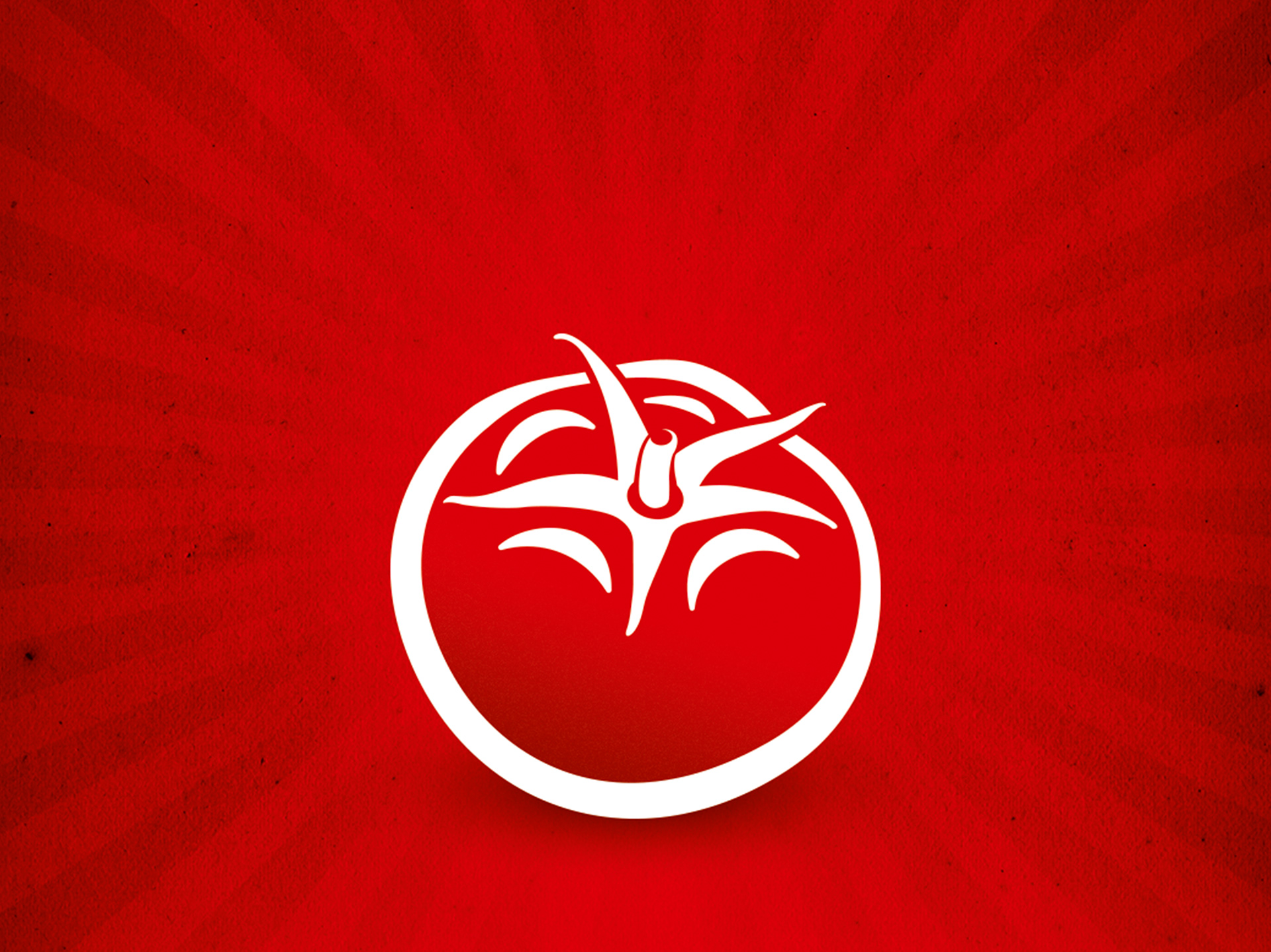 Final composition of the tomato illustration and background.