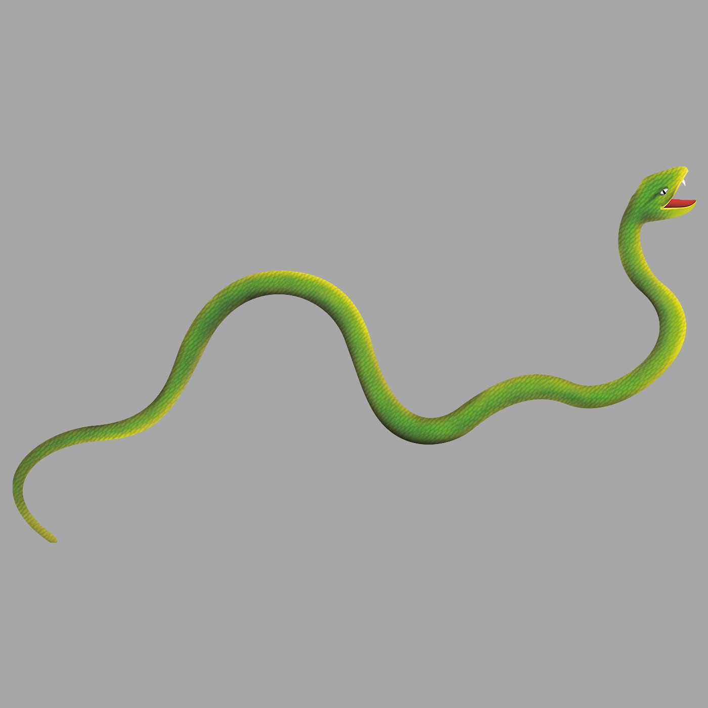 Illustration of green tree snake.