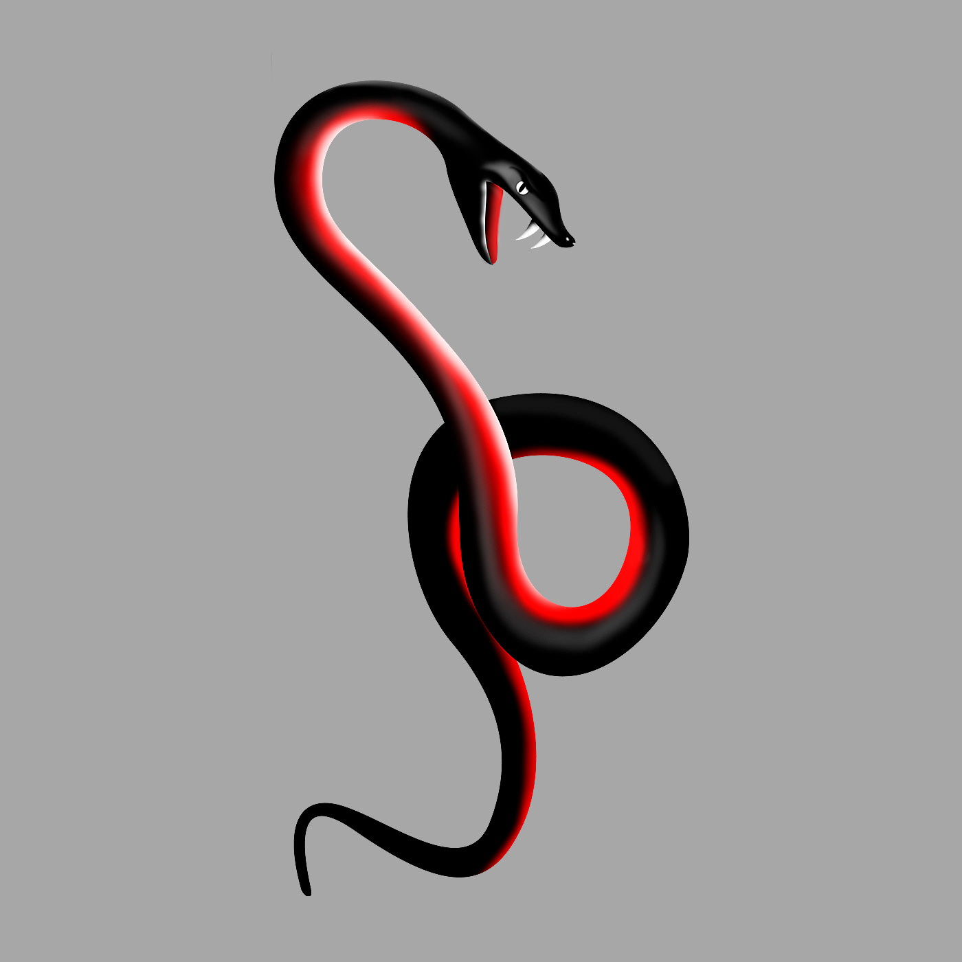 Illustration of a red belly black snake.