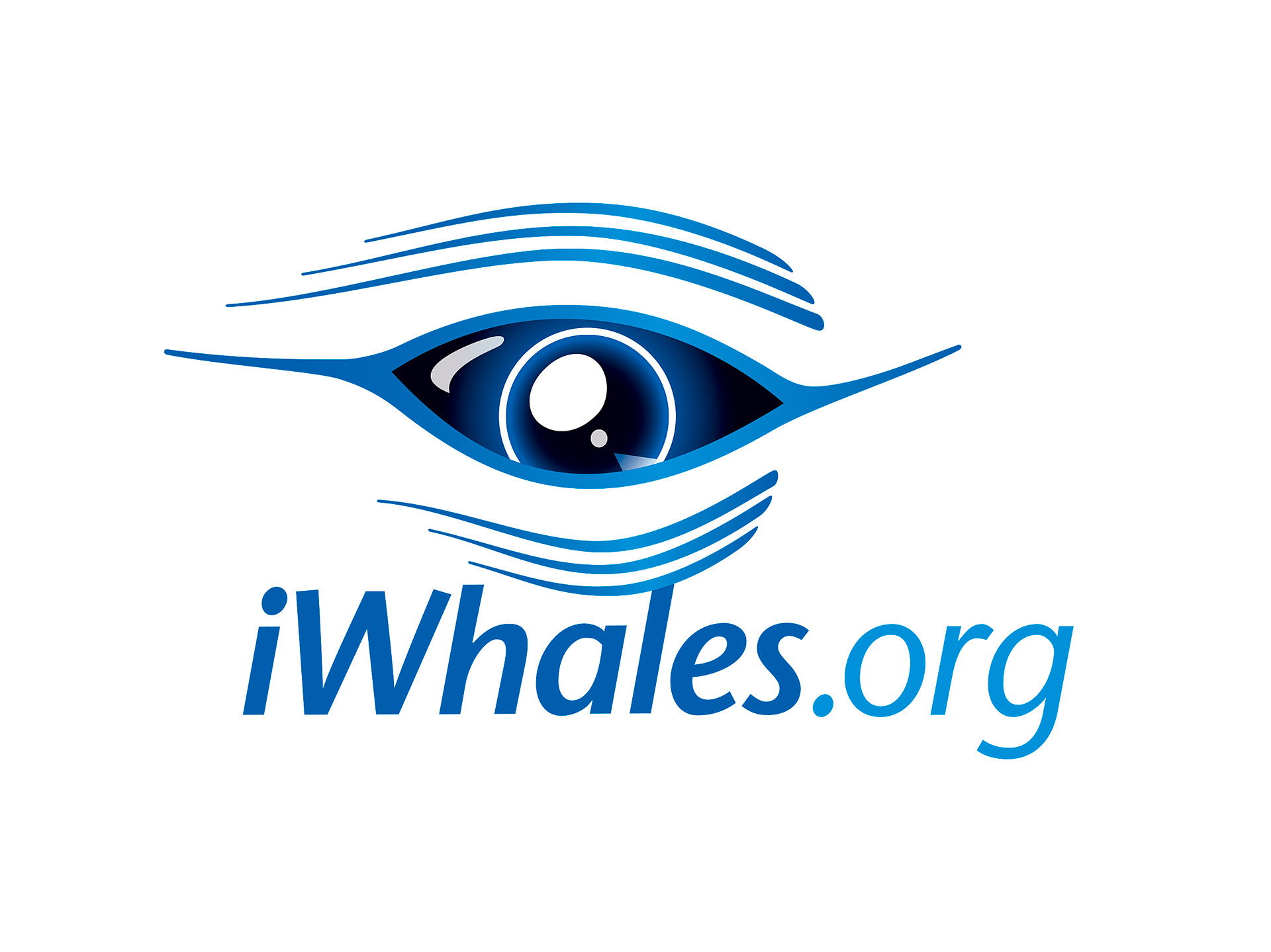 Full colour iWhales logo with .org domain tag.