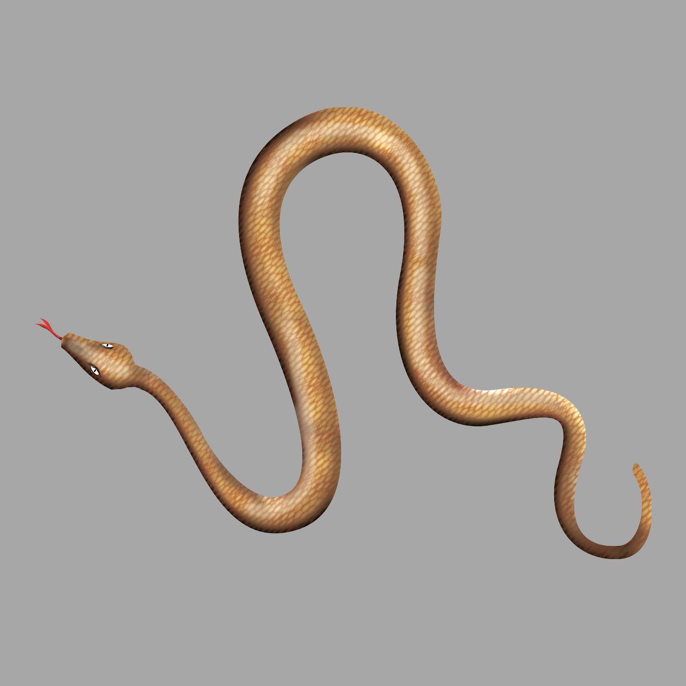 Illustration of light brown snake.