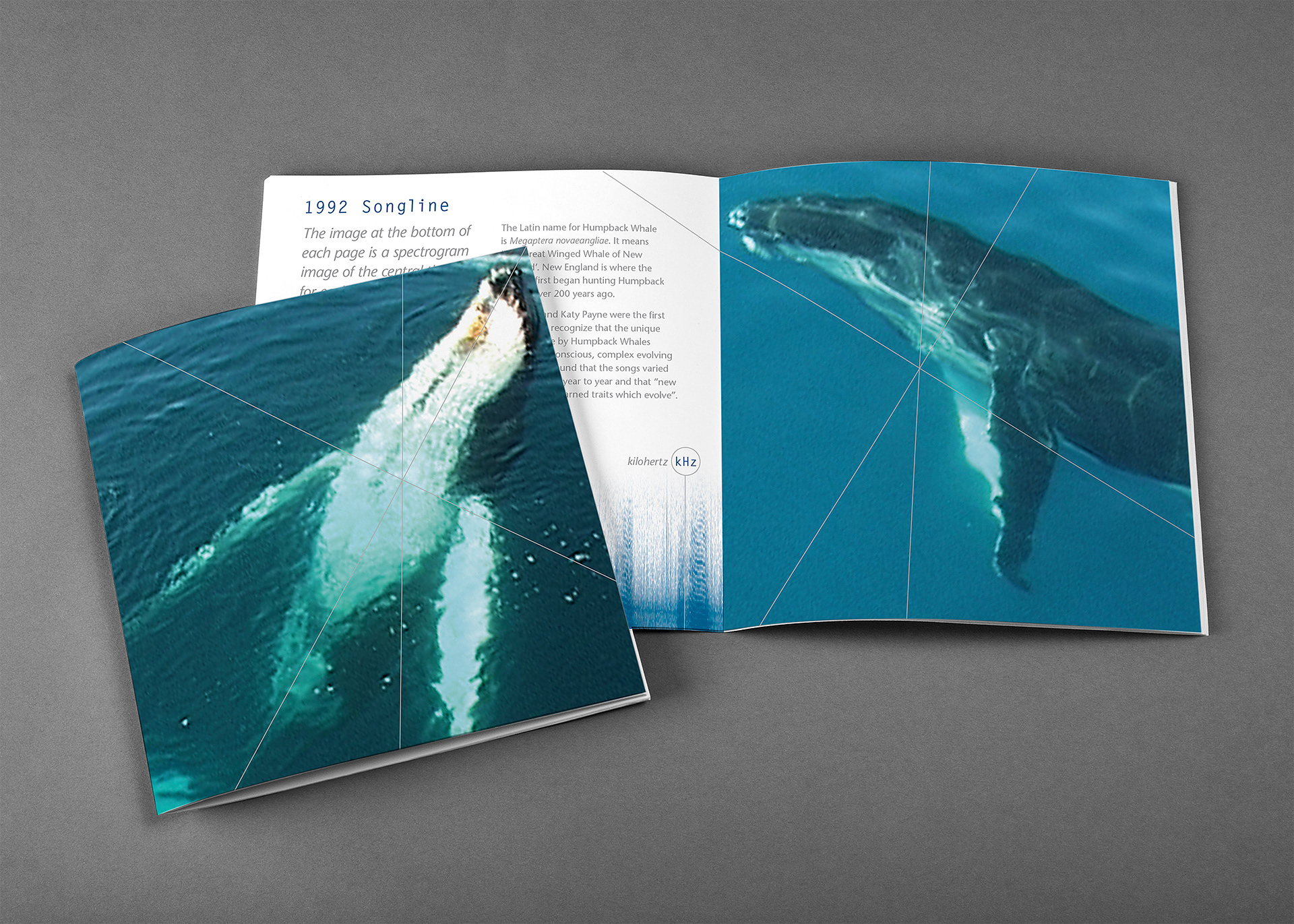 CD booklet cover and internal page spread of the 1992 Humpback Whale Songline.