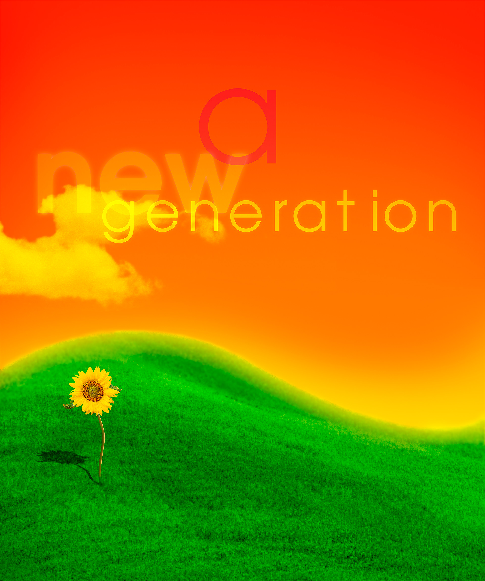Tagline type floating in an orange sky with green rolling hill below and single sunflower facing up. 