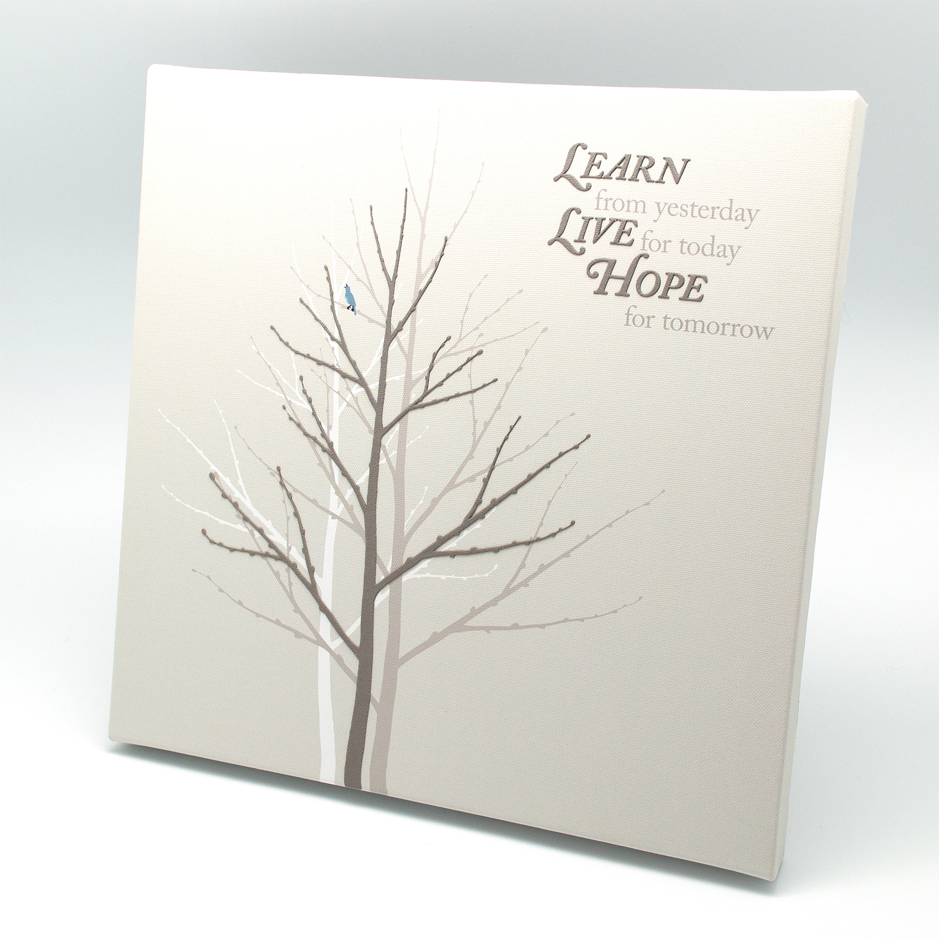 Learn - type and illustration composition on square canvas.