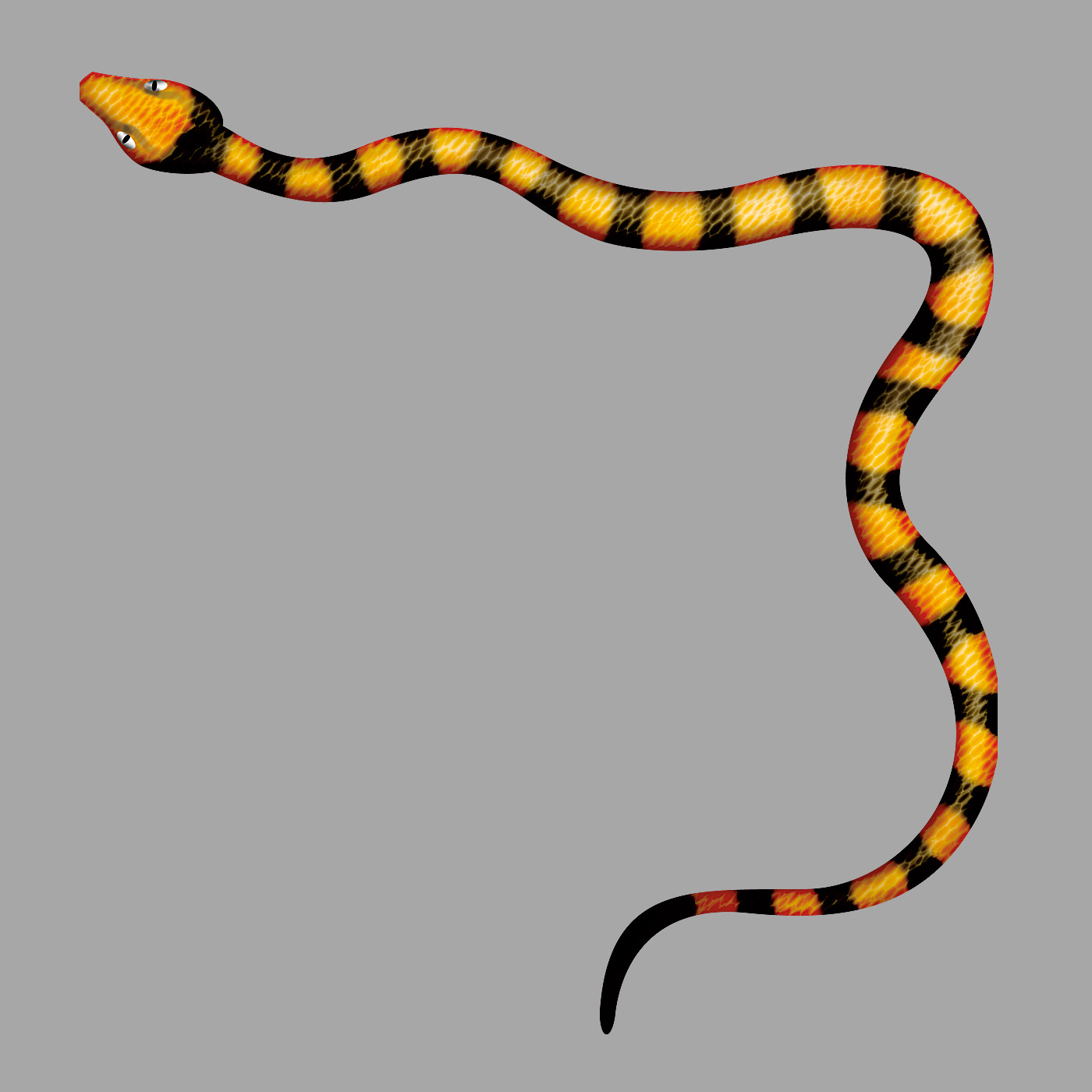 Illustration of a tiger snake.