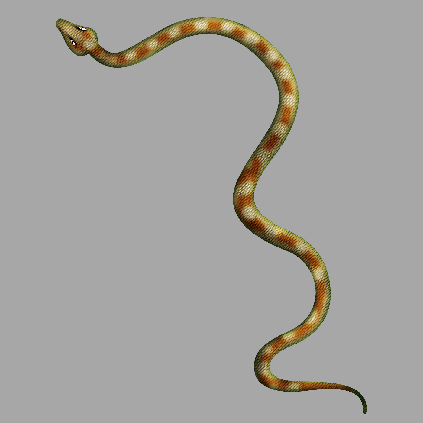 Illustration of green snake with brown and white pattern.