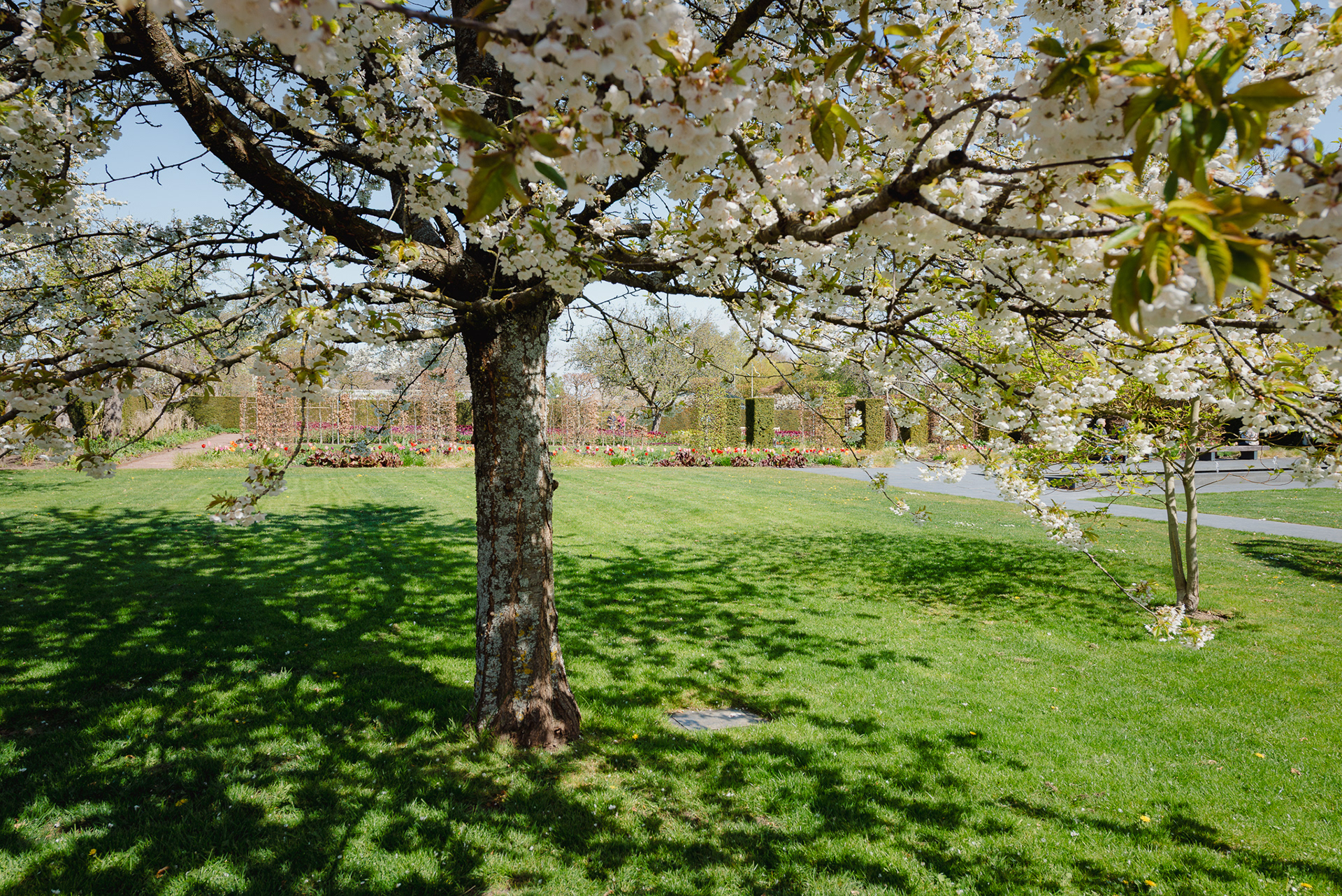 Sofiero - Helsingborg
