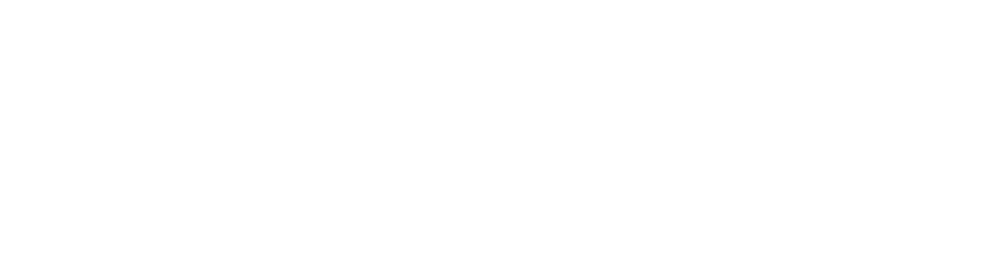 Video Digital 64