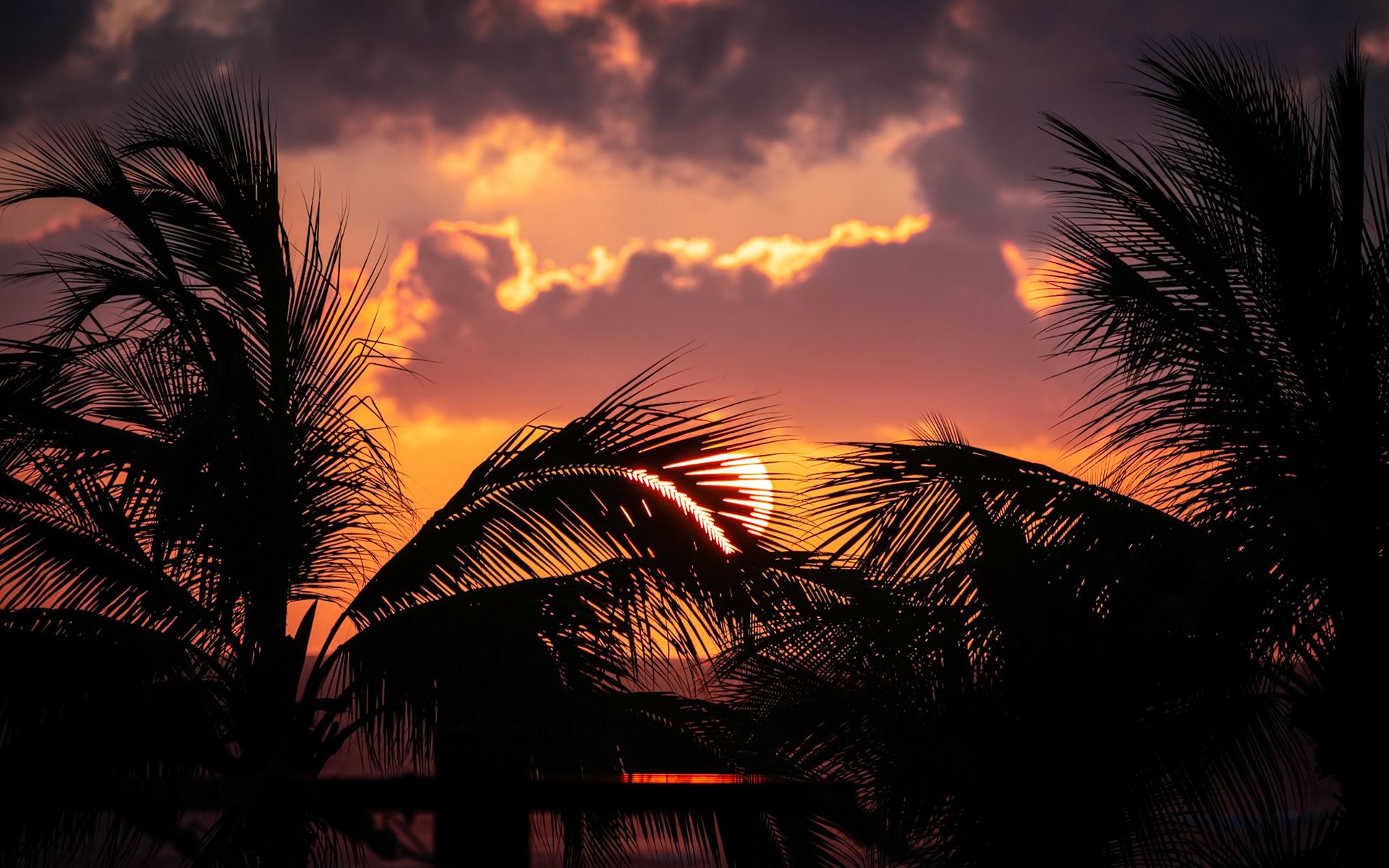 Sunset as pictured from Foster Tower