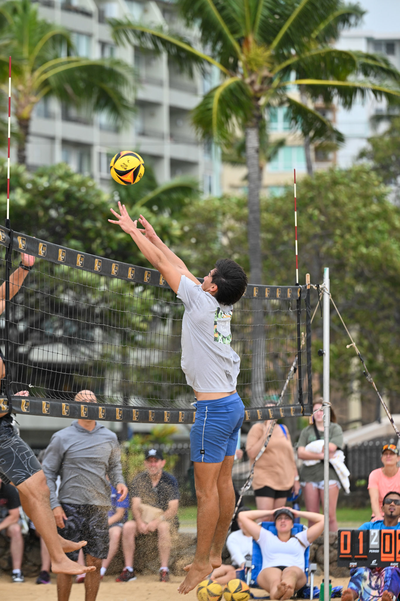 Waikiki Beach Volleyball Tournament (28 Jan 2024)