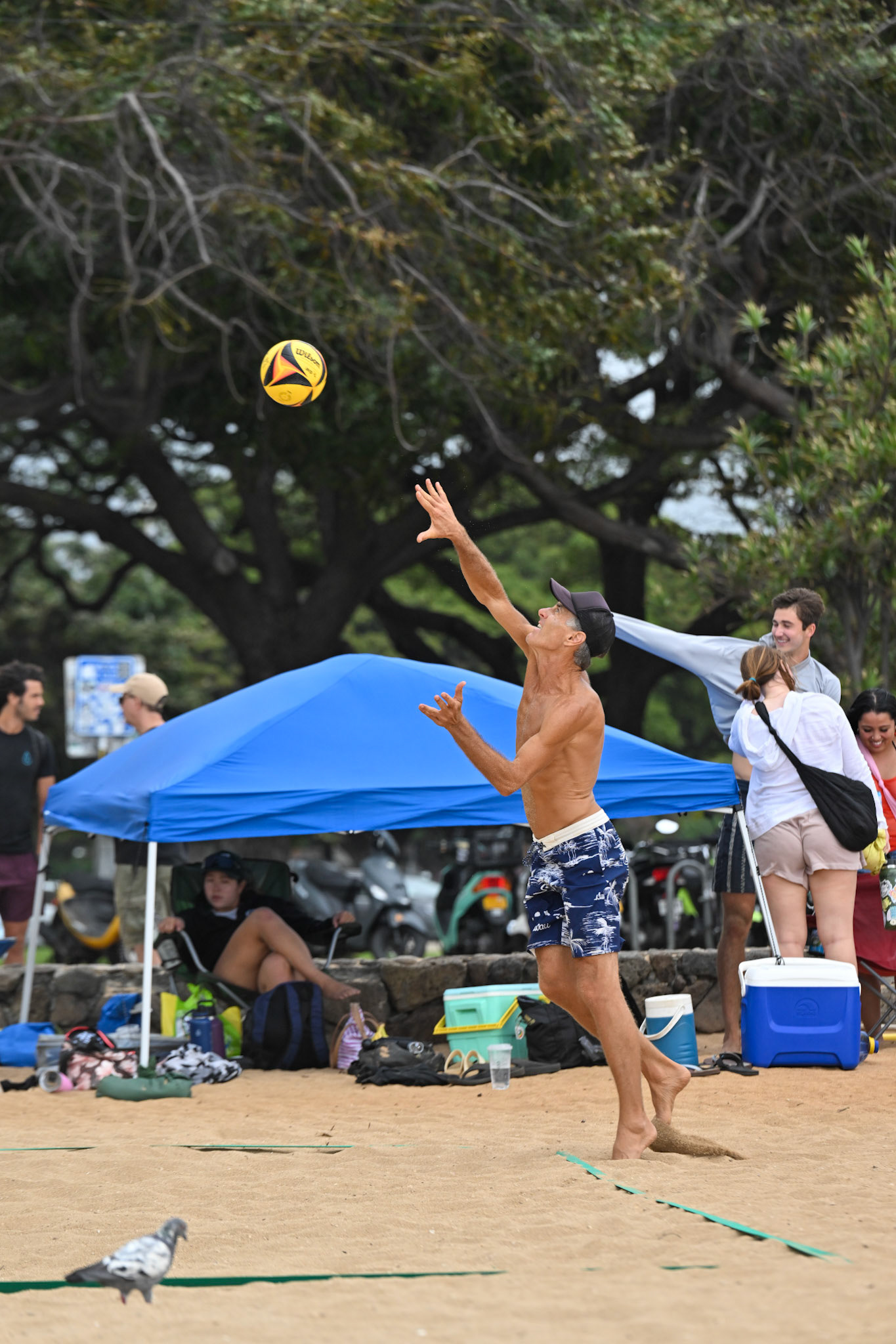 Waikiki Beach Volleyball Tournament (28 Jan 2024)