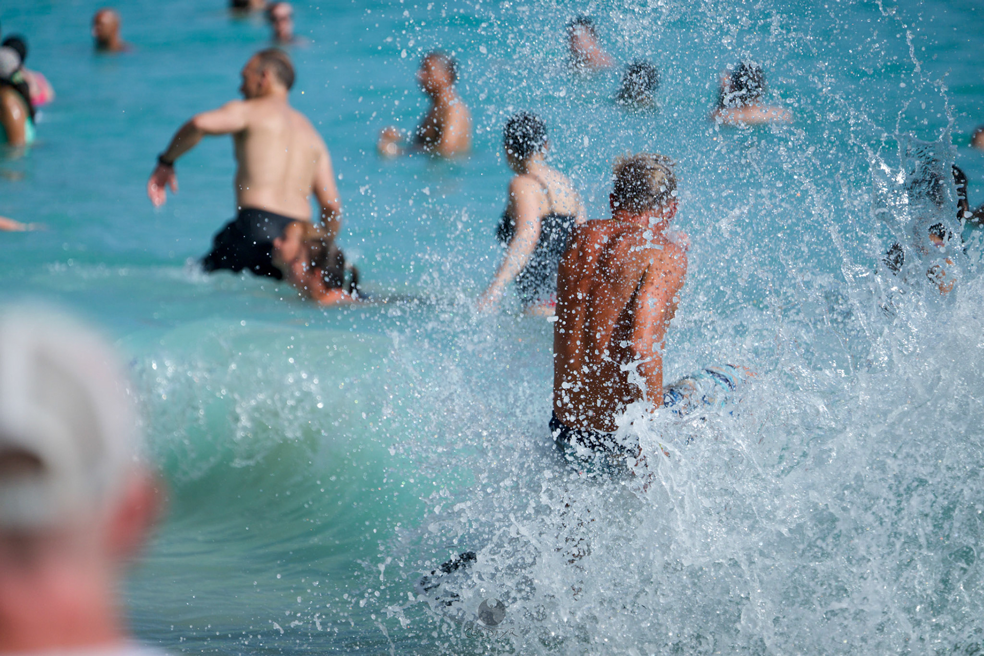 Brian "Hollywood" rips the Waikiki shore break.