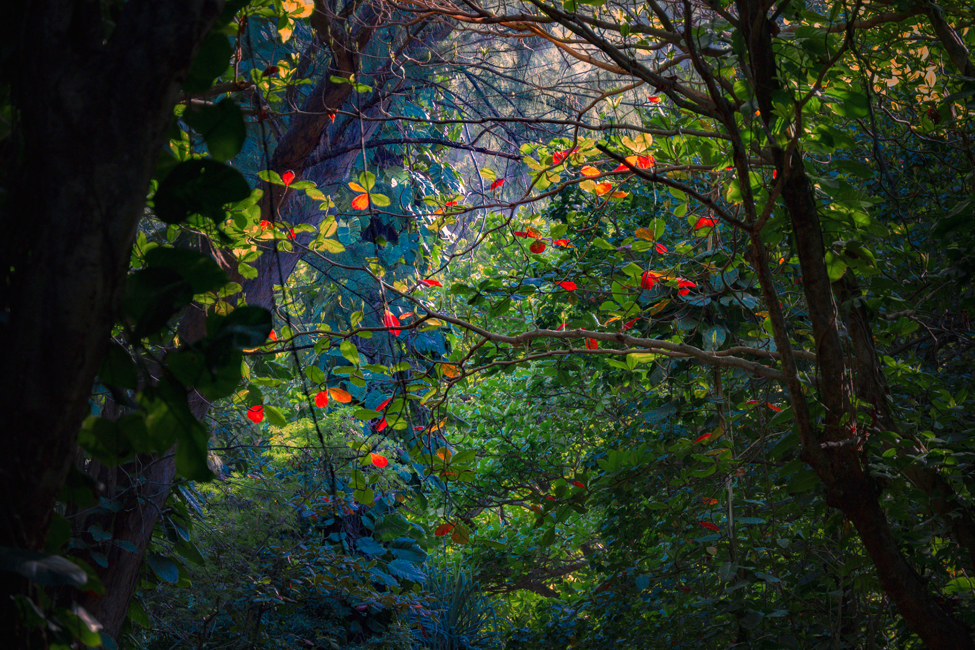 If you feel lost, always follow the light. Life has a way of guiding us even in our darkest times.