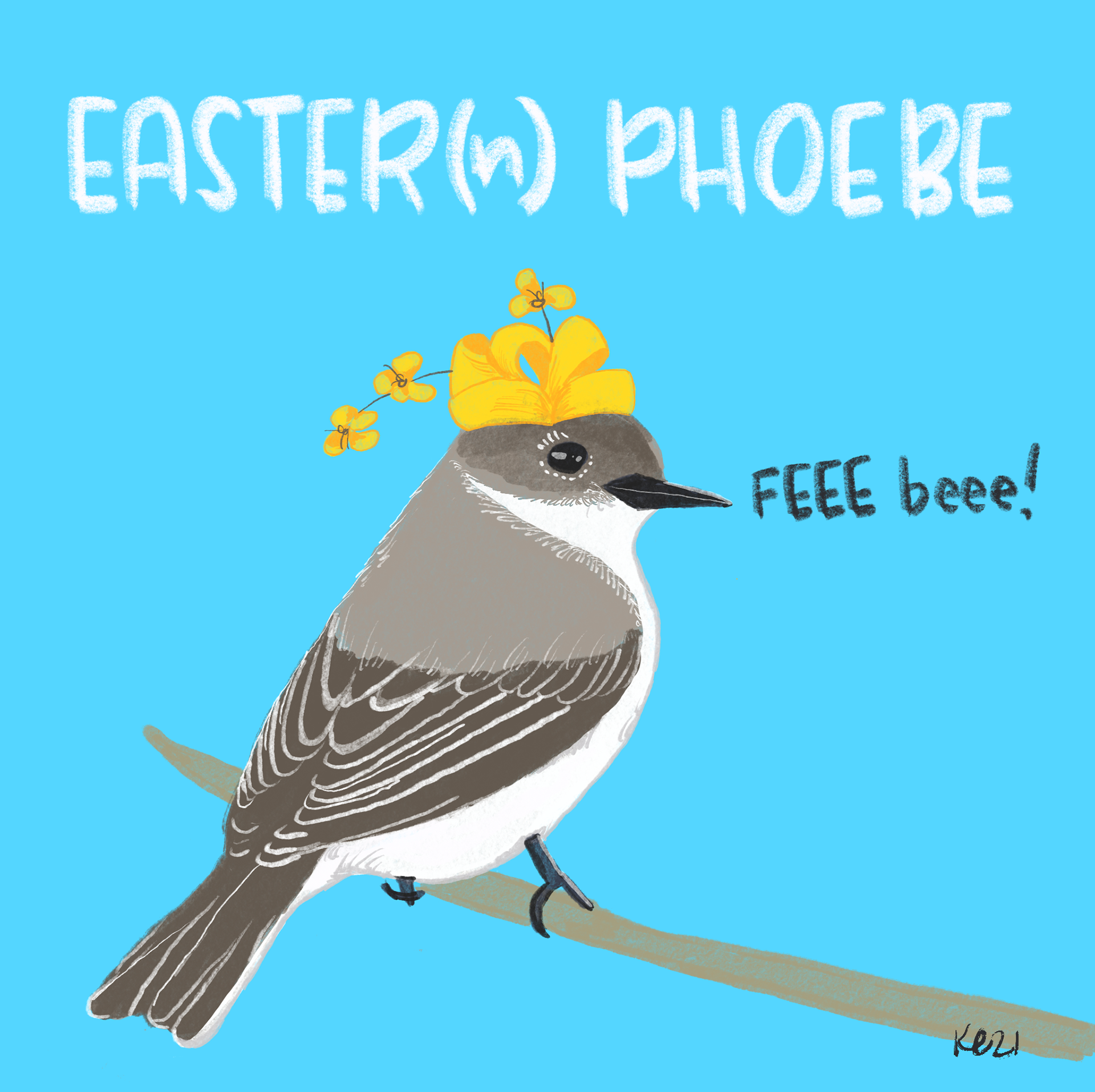 Easter(n) Phoebe. Adobe Fresco.