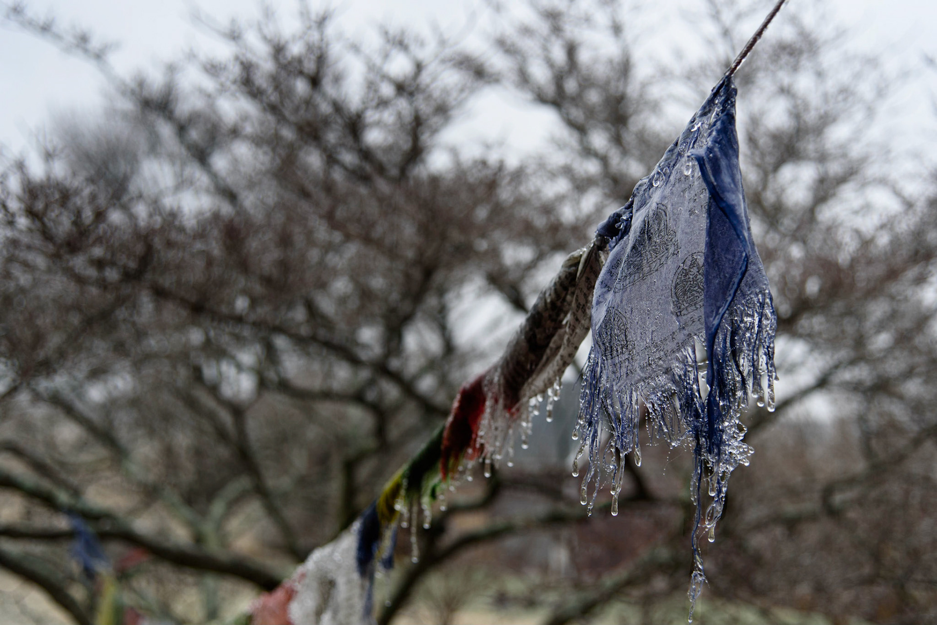 Frozen Prayers