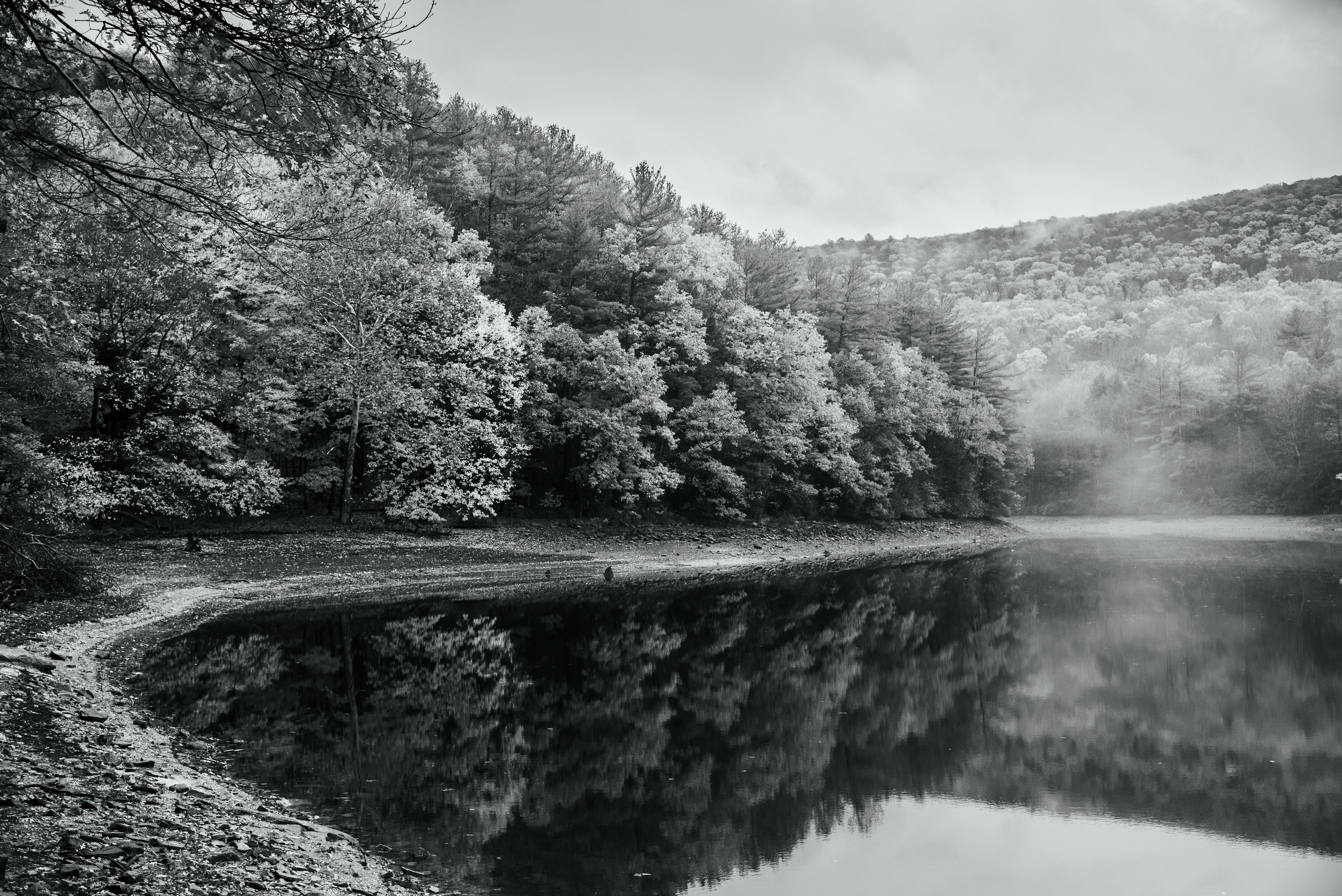 Reflections of Fall