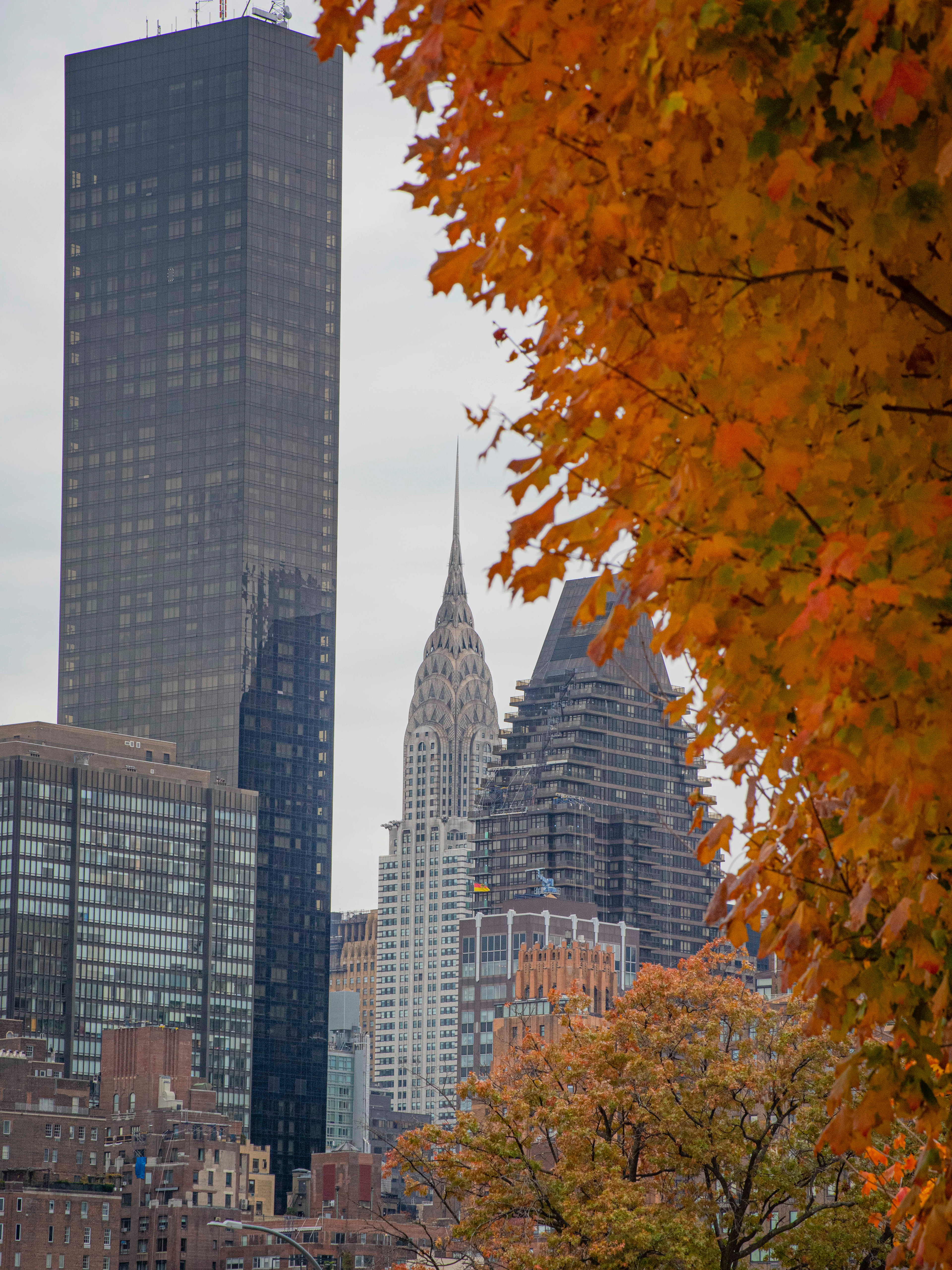 Autumn Against Steel