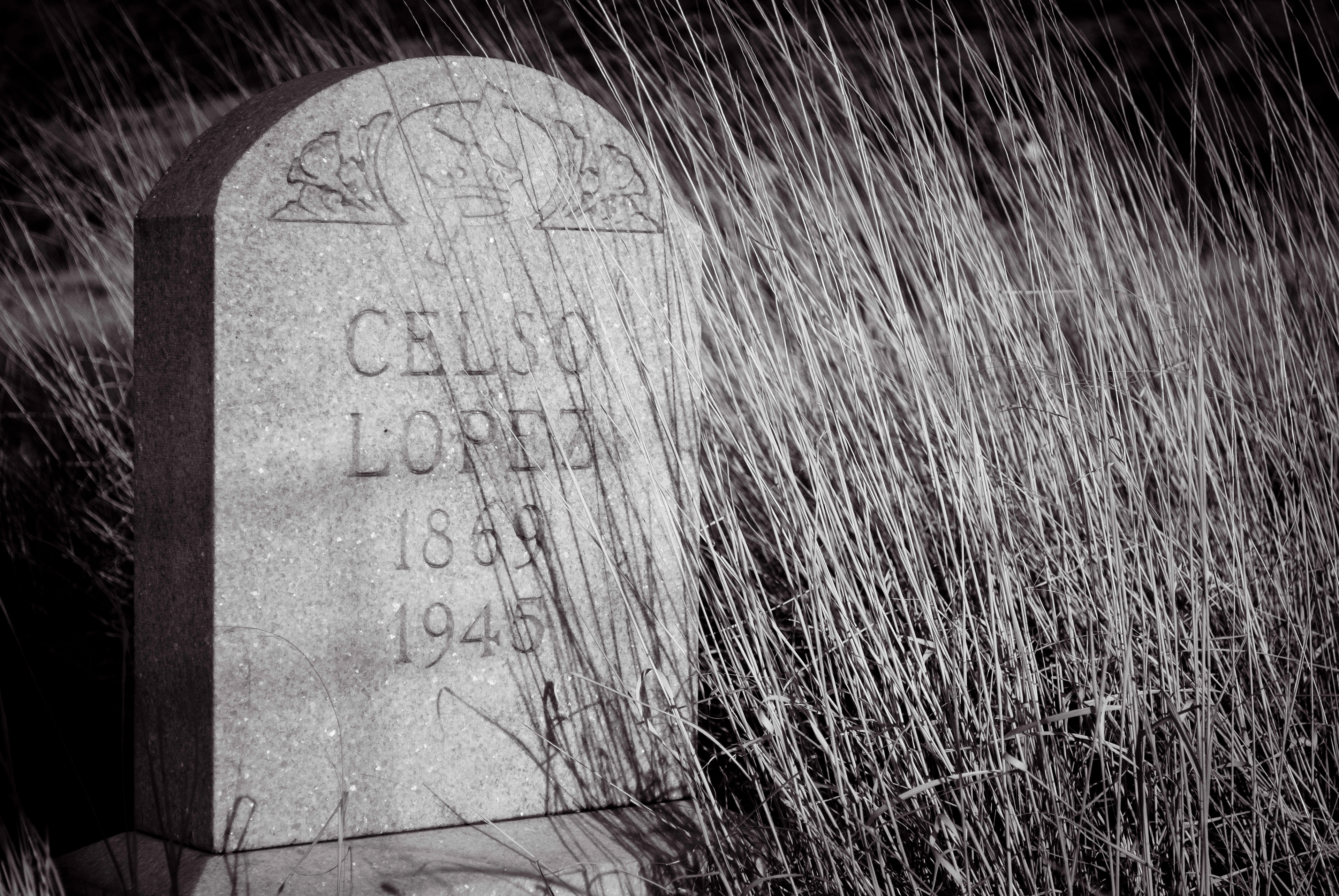 What Remains of Celso