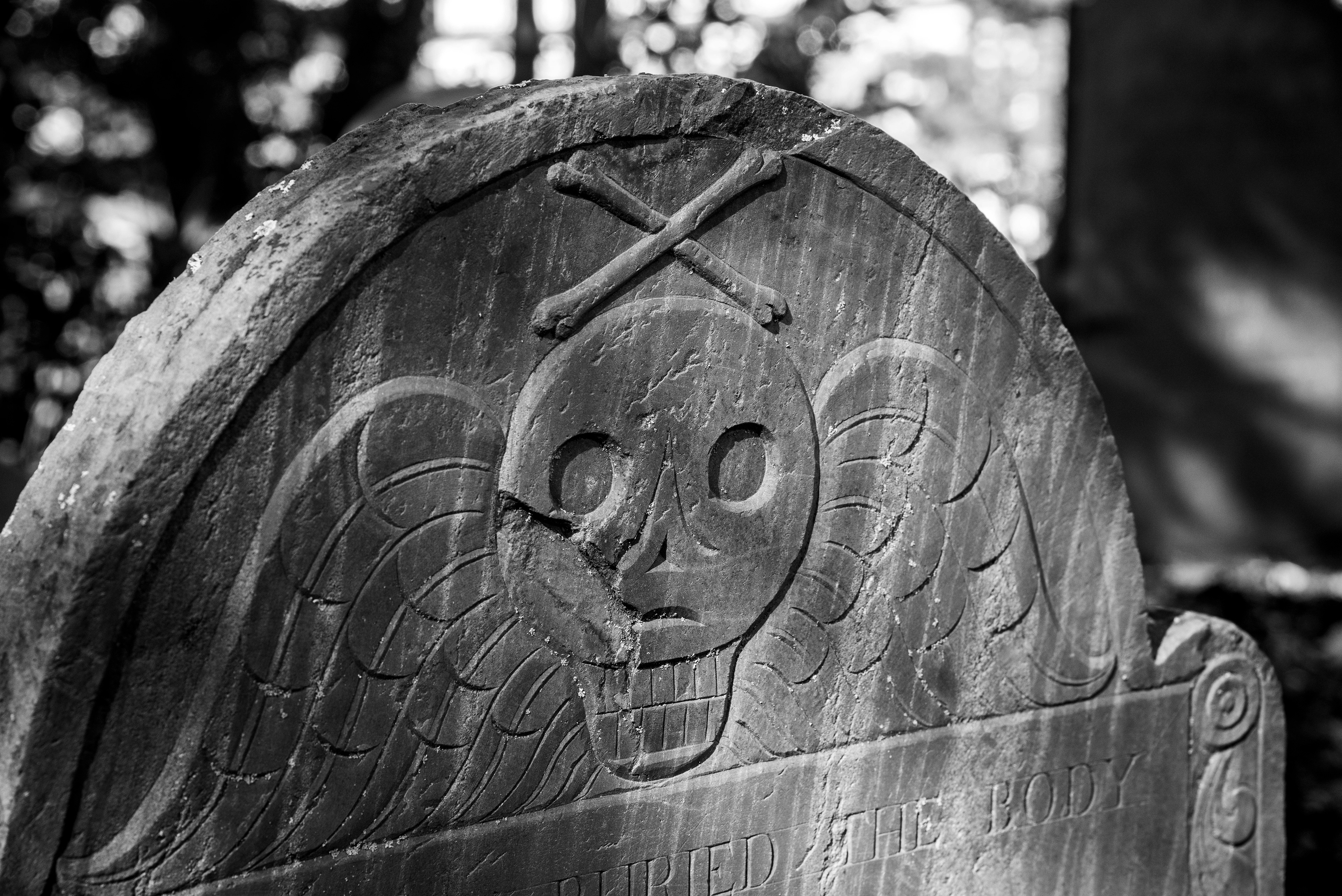 Ornament of Decay