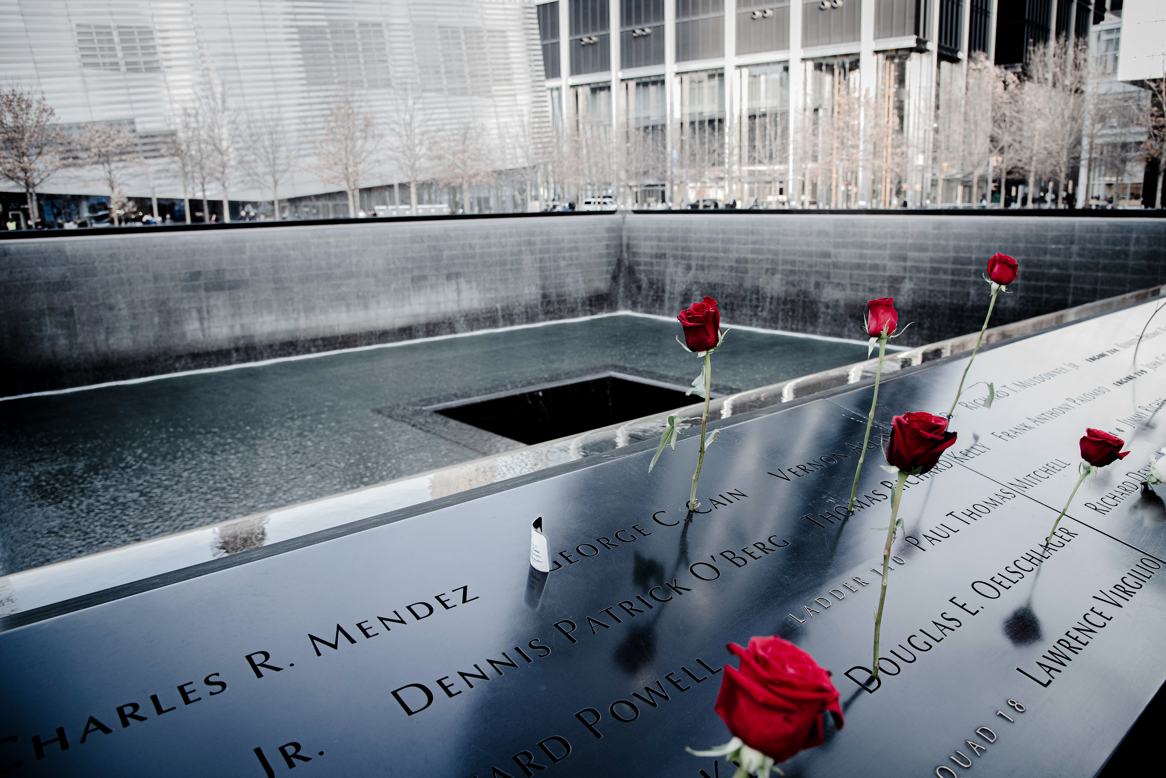 Roses for the Absent