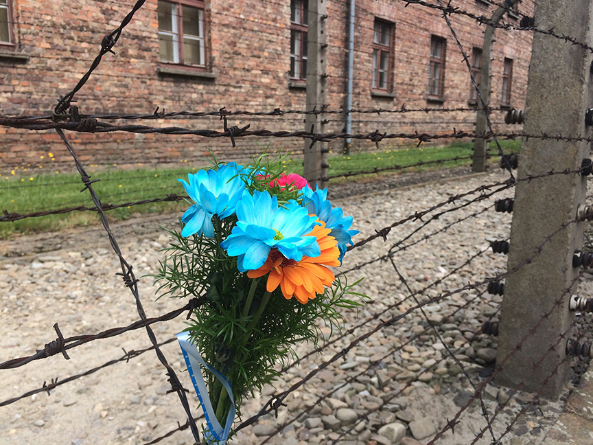 Flowers for Bbe