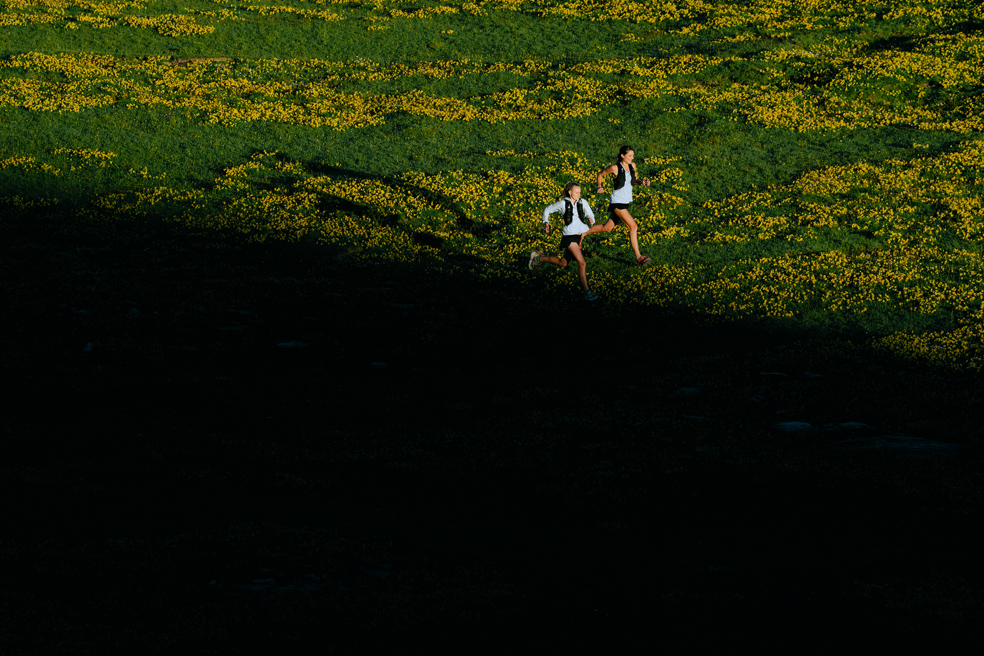 Two Runners run along a shadow line through a field with yellow wild flowers