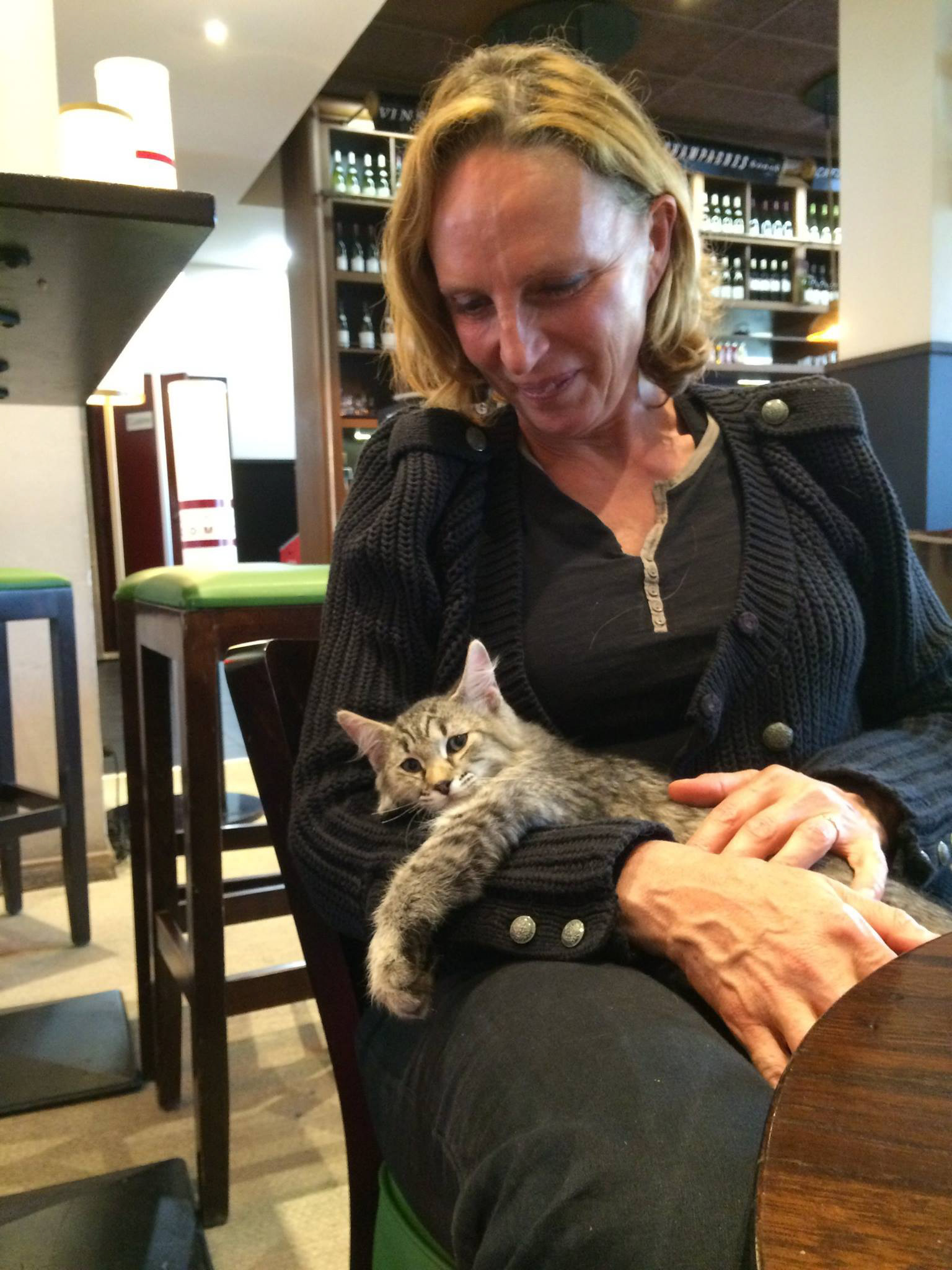 avis élevage chats pixiebobs du Farwest
