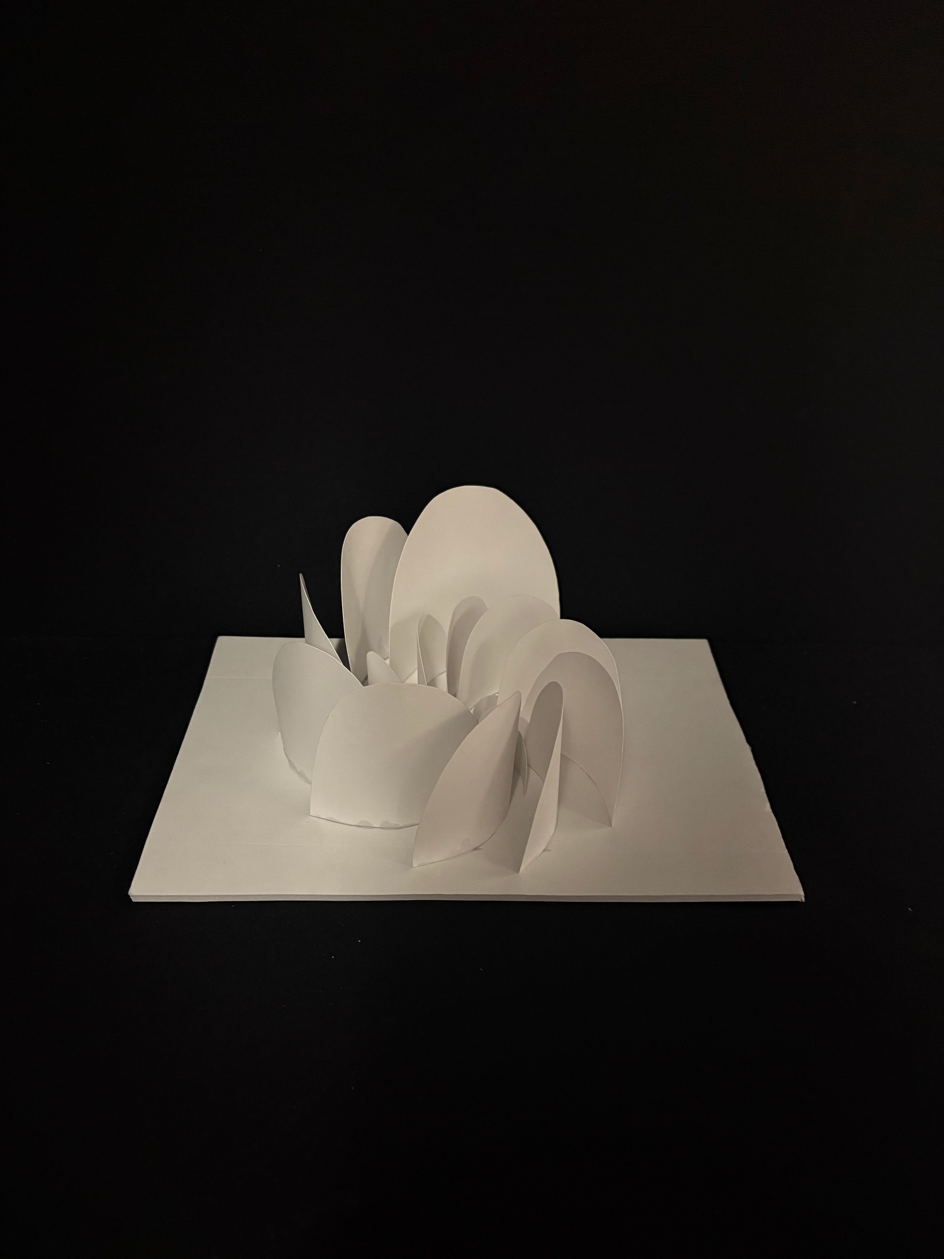 Model by Paige Milligan