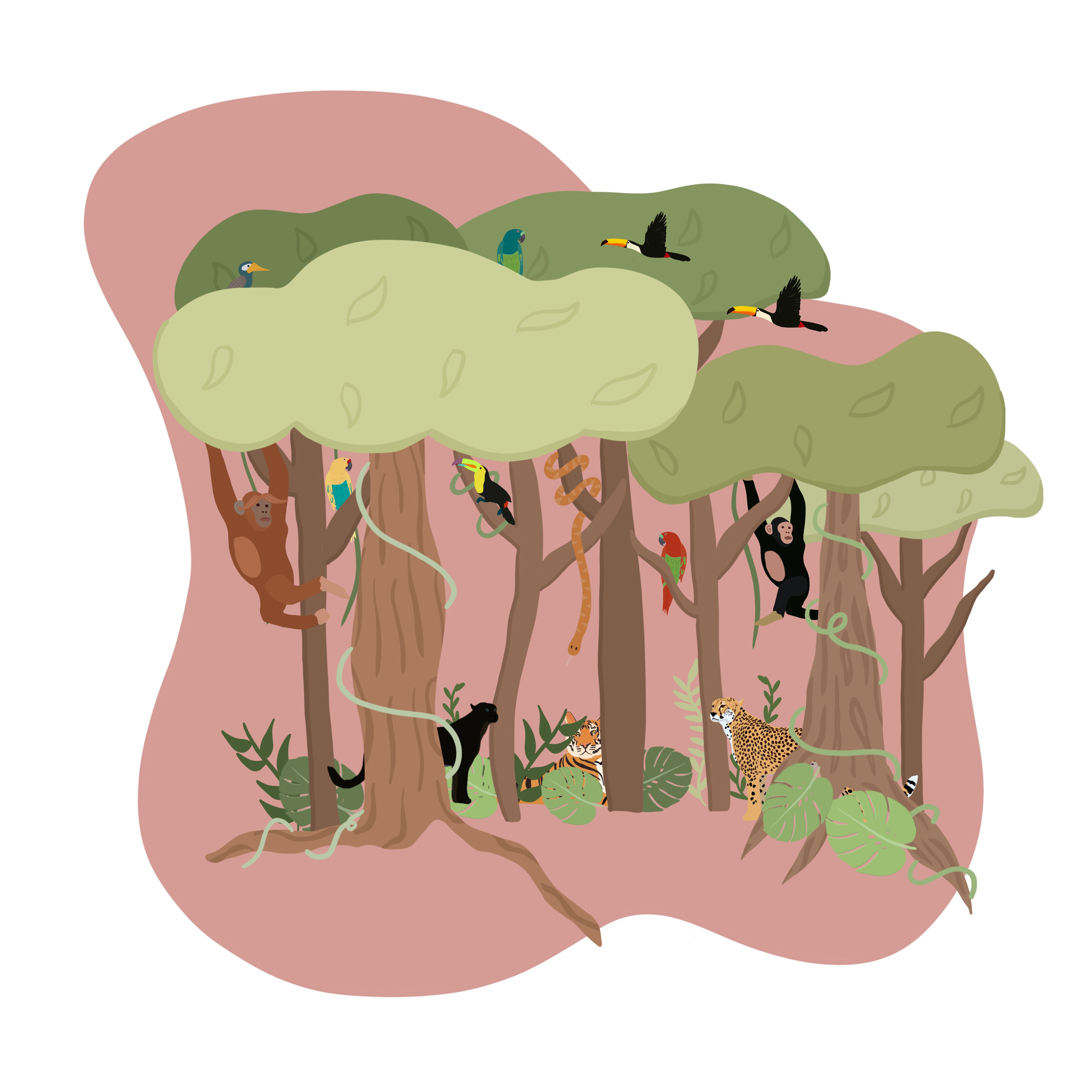 Forests