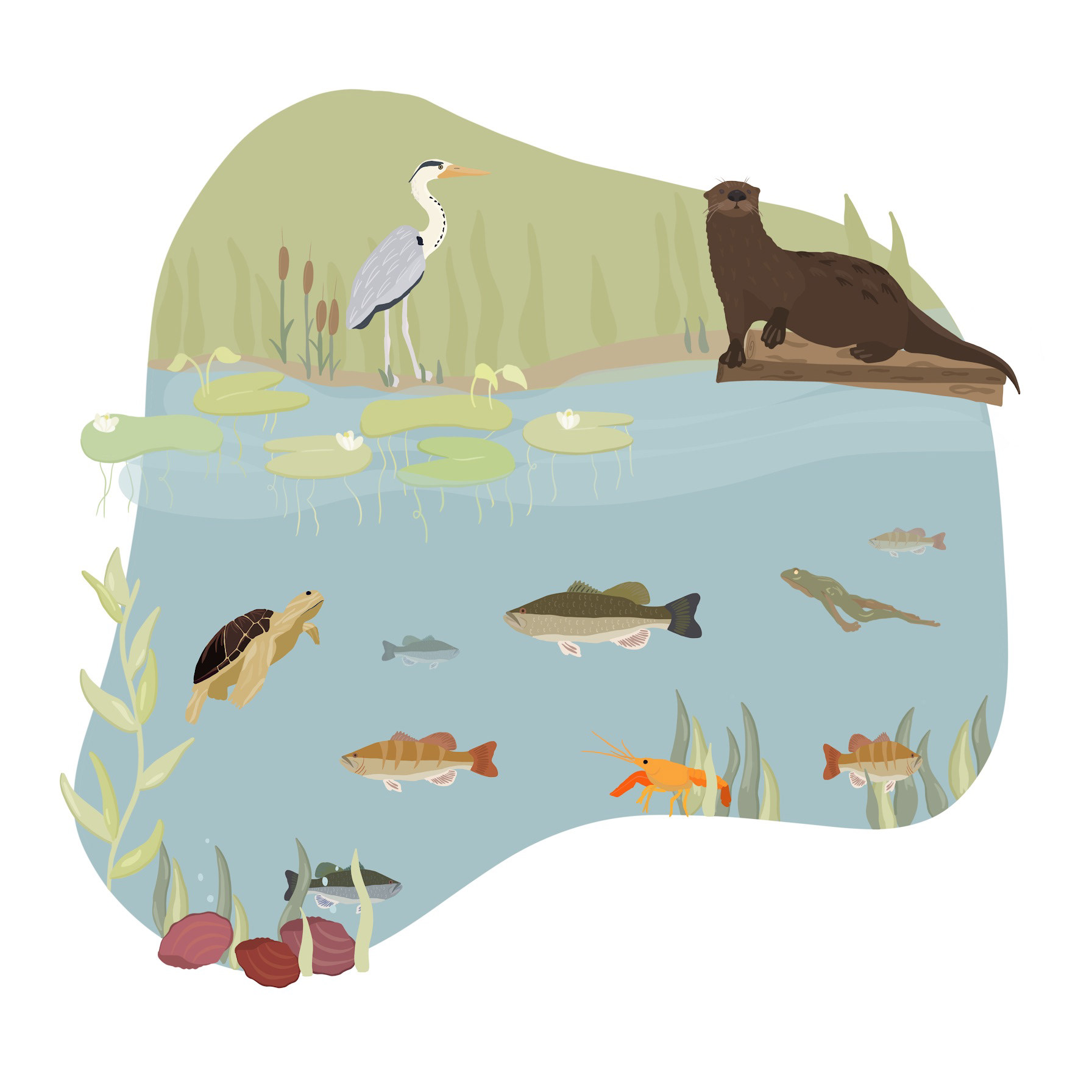 Freshwater
