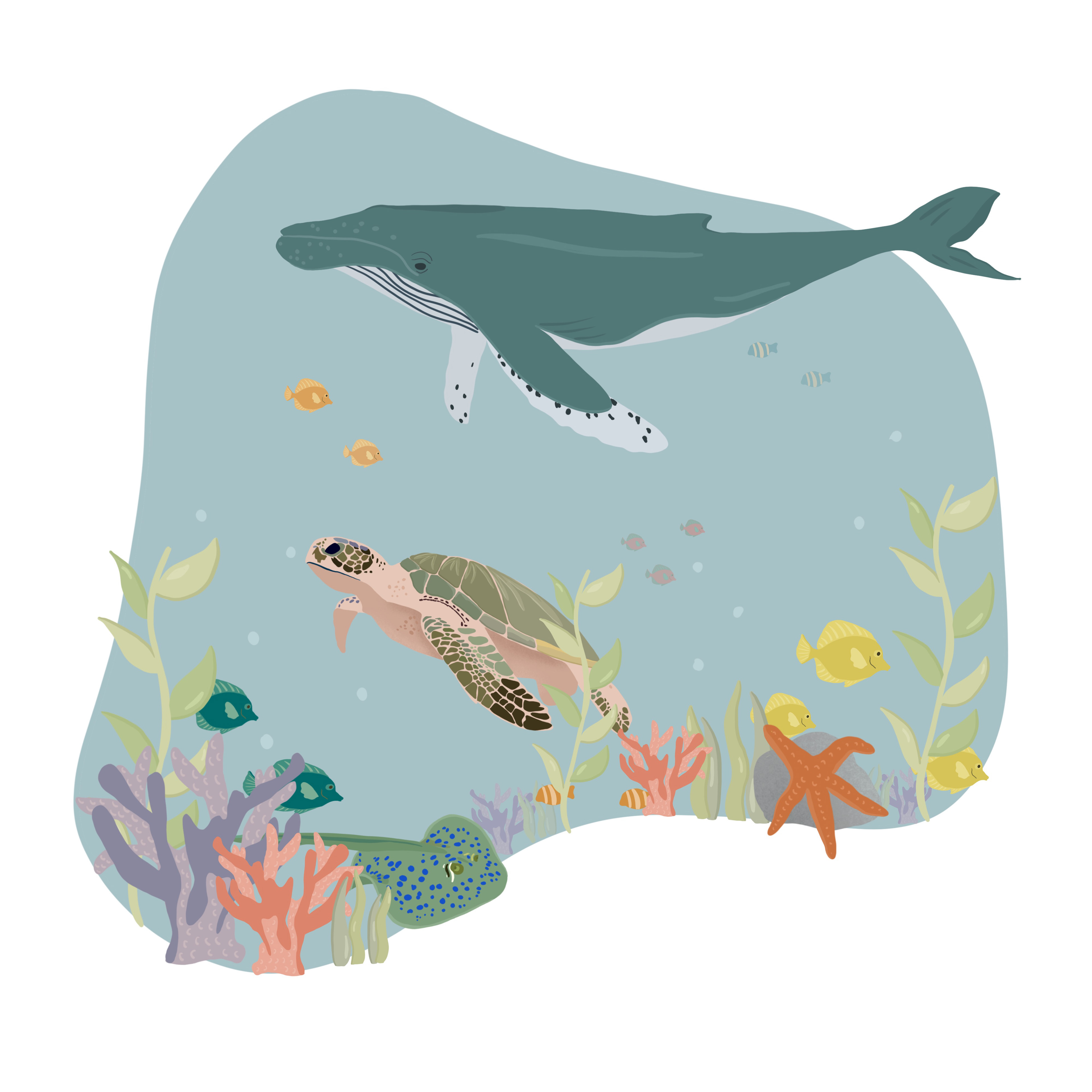 Oceans
