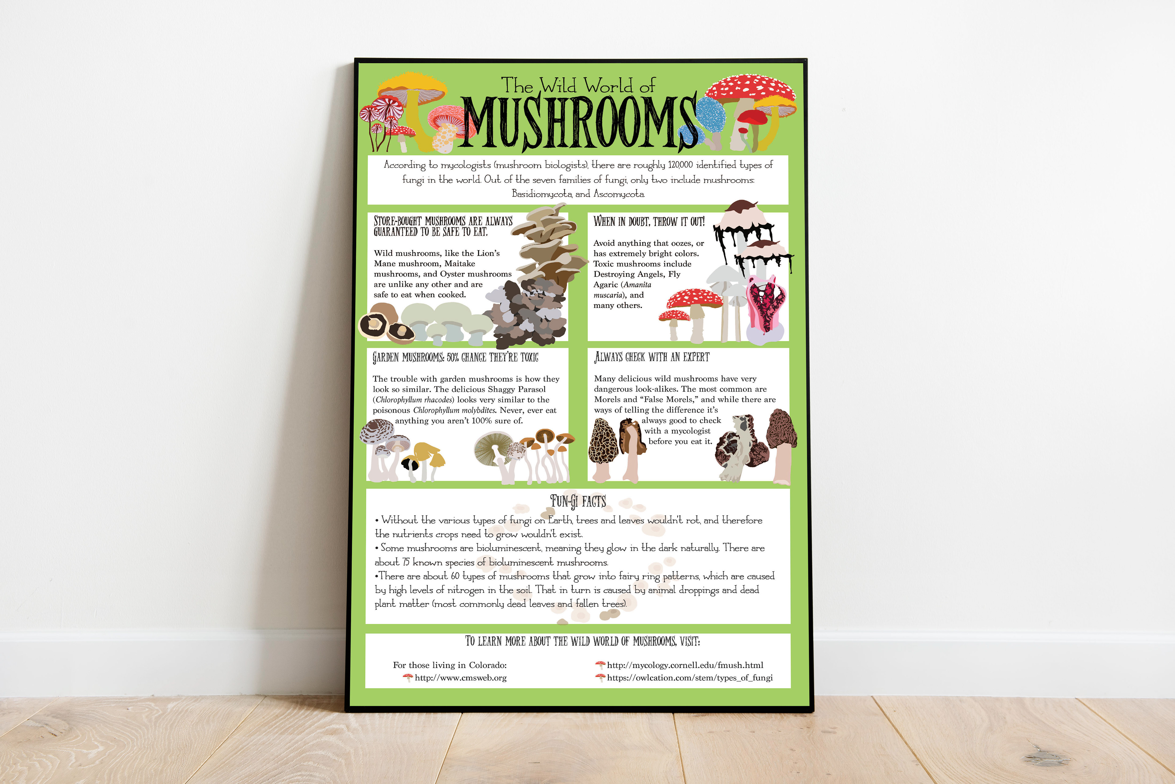 "The Wild World of Mushrooms." 11 in. x 17 in. infographic poster.
