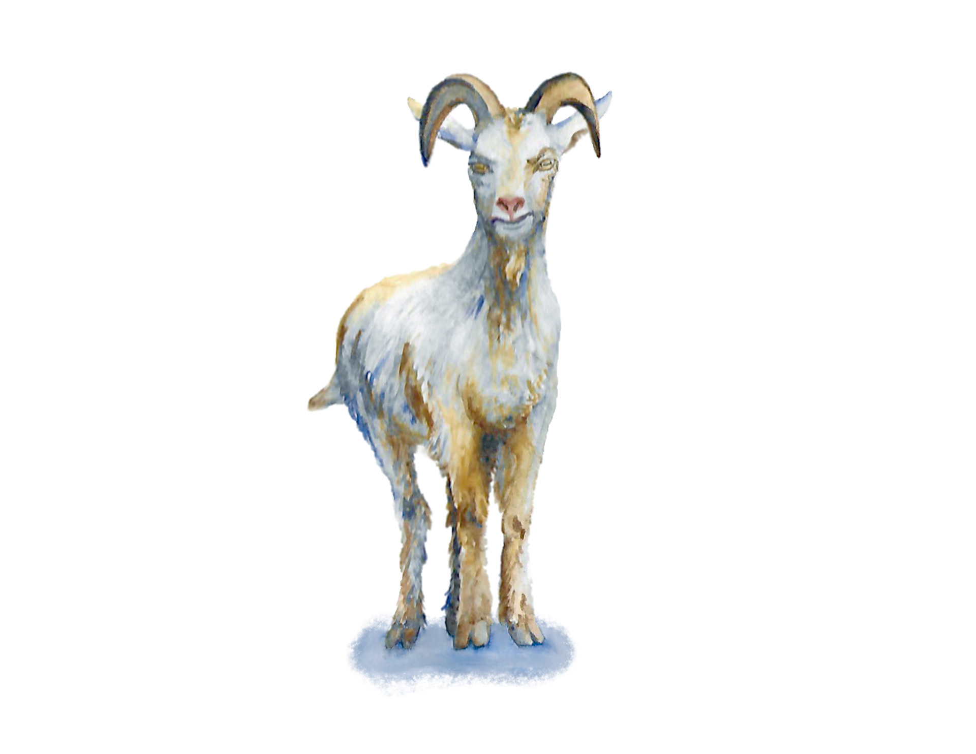 Good Goat