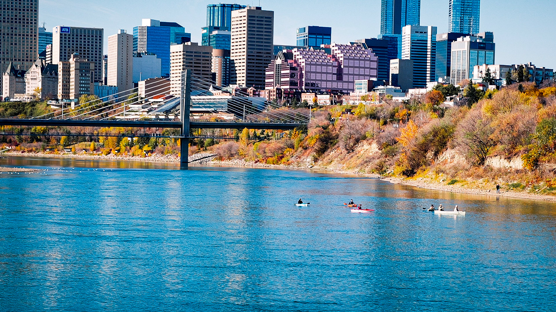 The view of the one of Edmonton river valley and the downtown