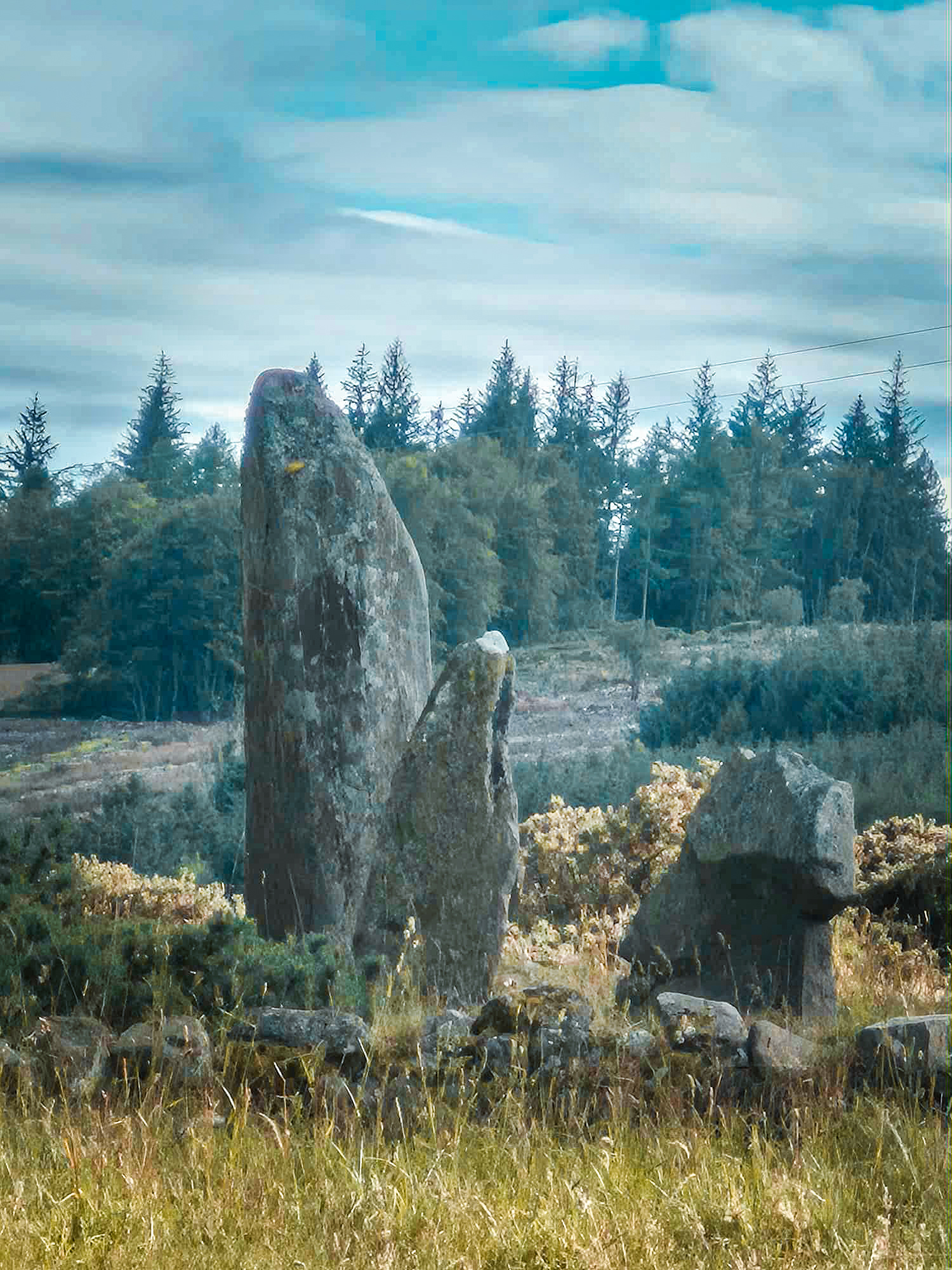 Tyrebagger Standing Stones