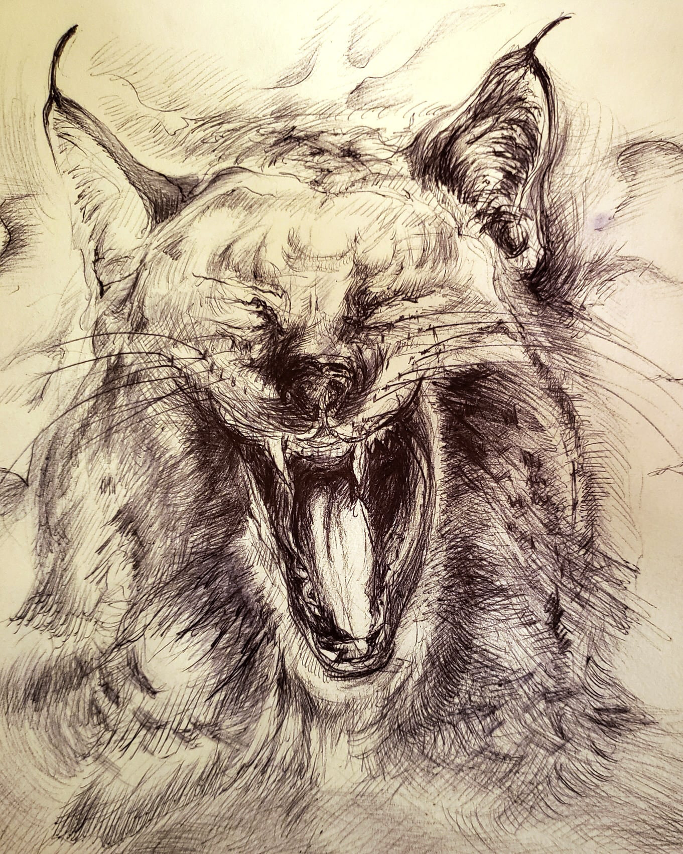 Last wolf cry_December 2019