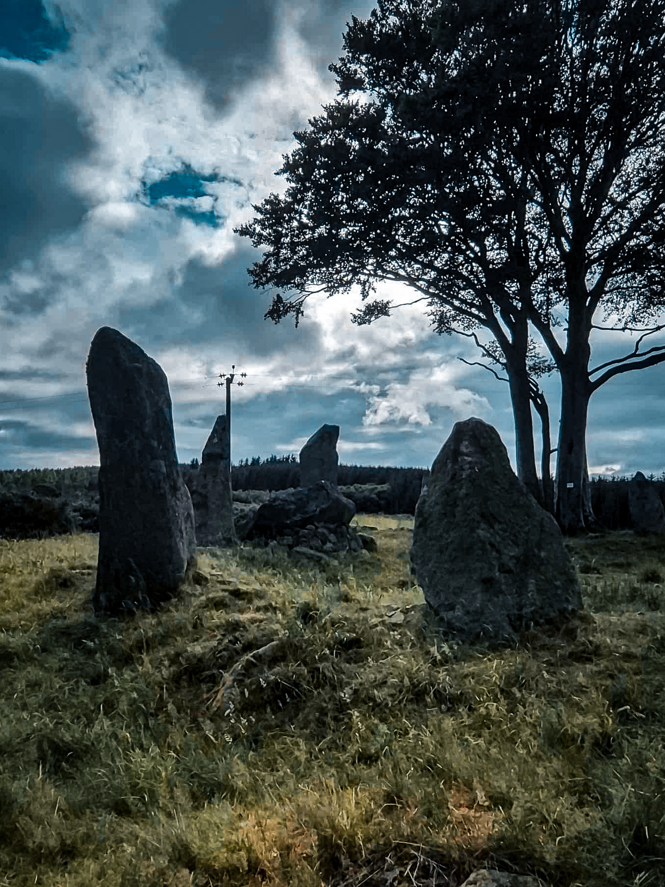 Tyrebagger Standing Stones