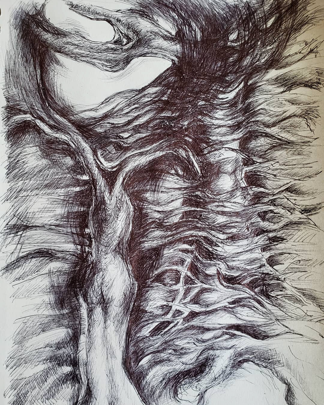 Complexity of branching out_3 April 2020