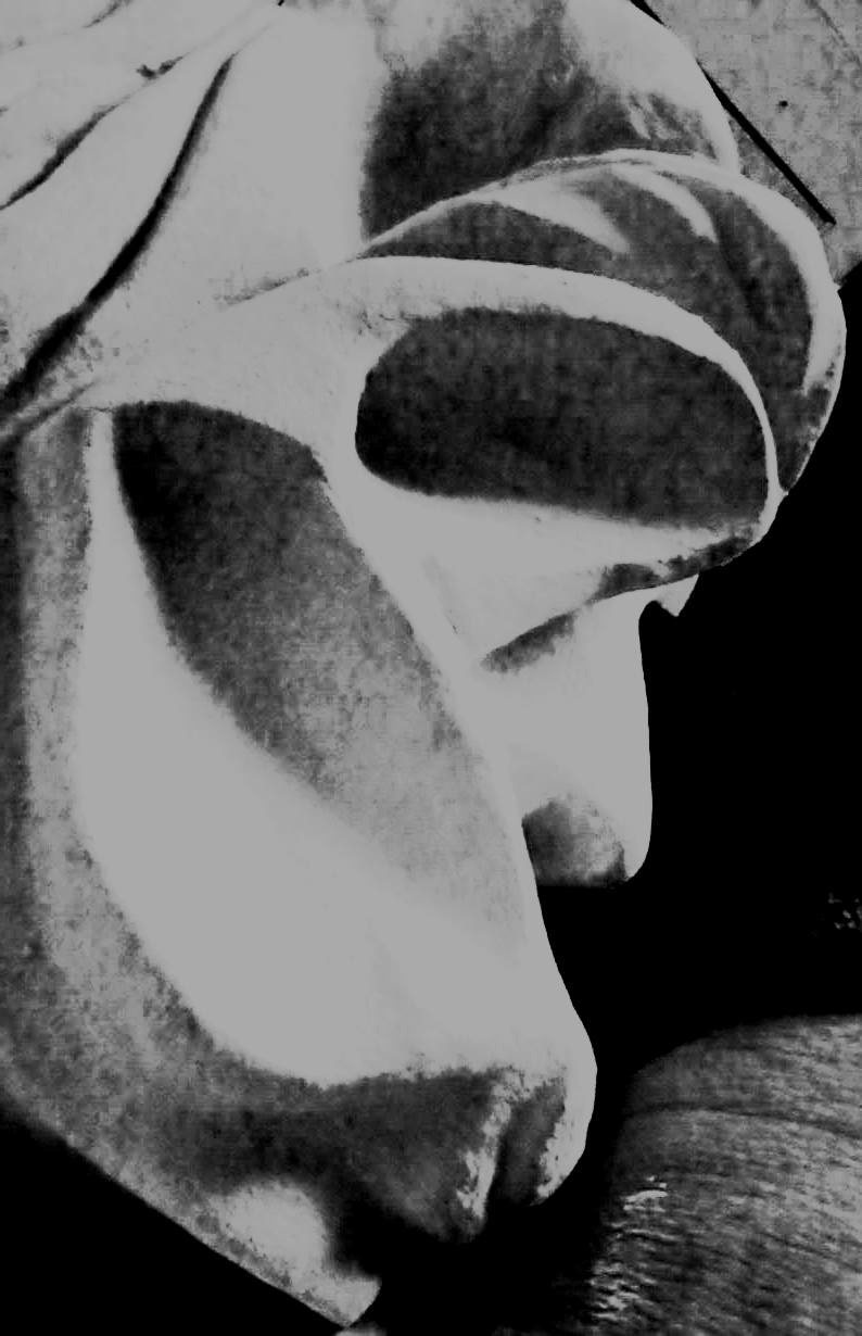 Hand carved limestone by Debora Alanna.