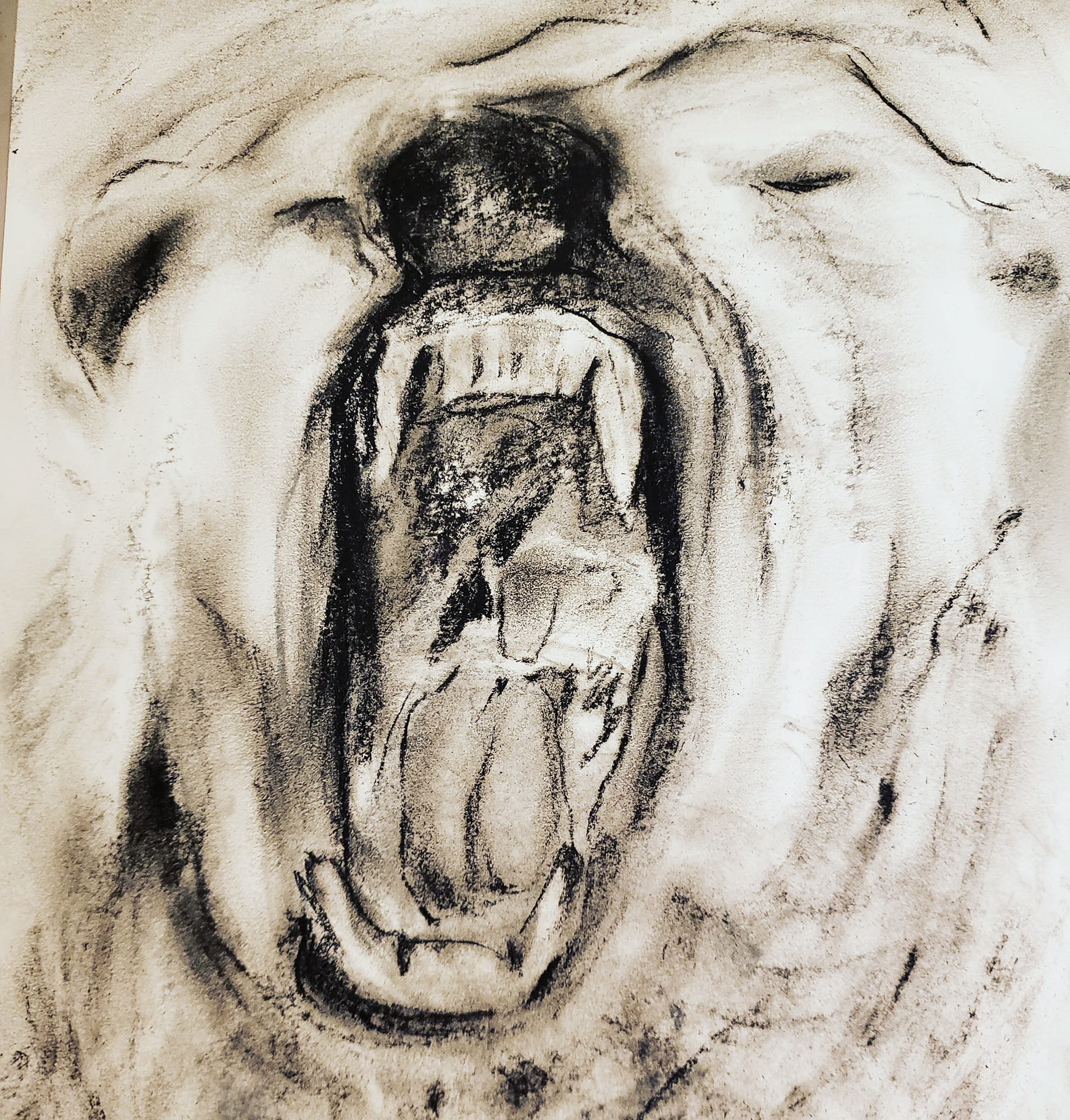 Last polar bear cry_1 December 2019