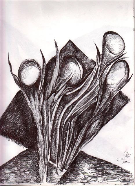 "Flowering" - February 2012
