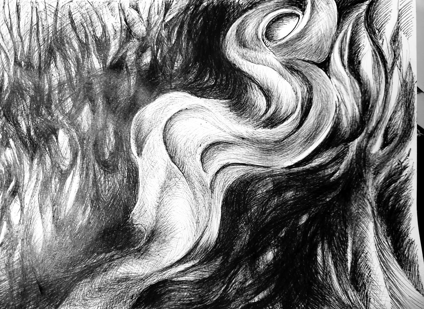 Alightening from the forest_27 January 2020