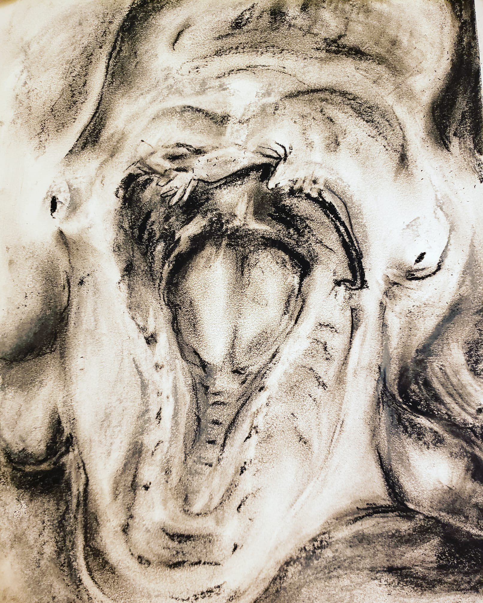 Last beluga whale cry_1 December 2019