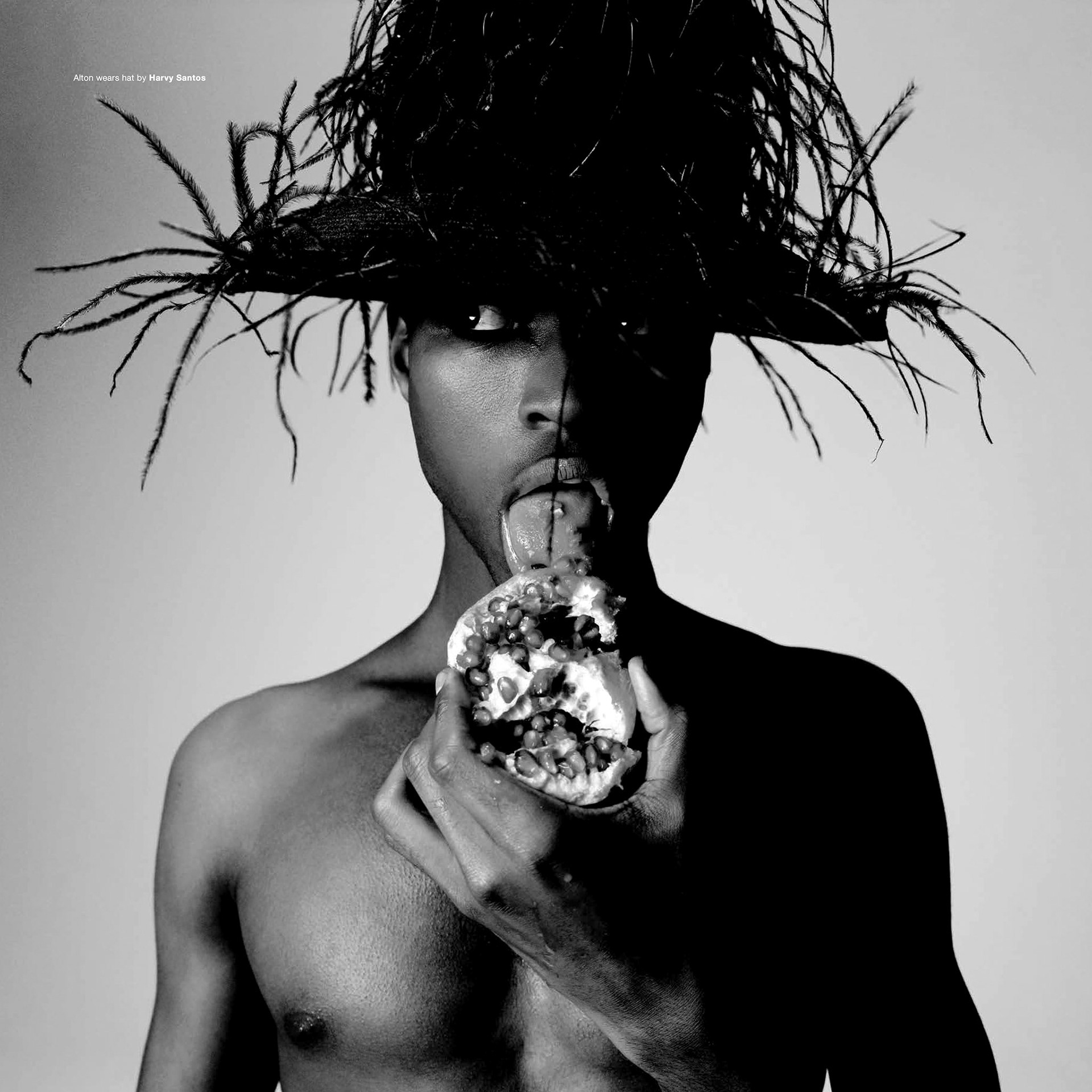 Perfect Muse Alton Mason Sept 2022