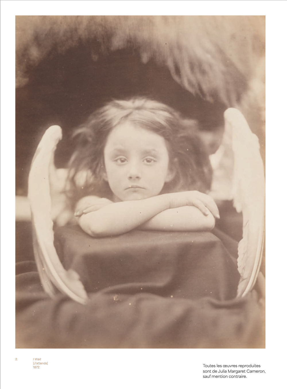 La photographie d'art : une exploration visuelle et émotionnelle