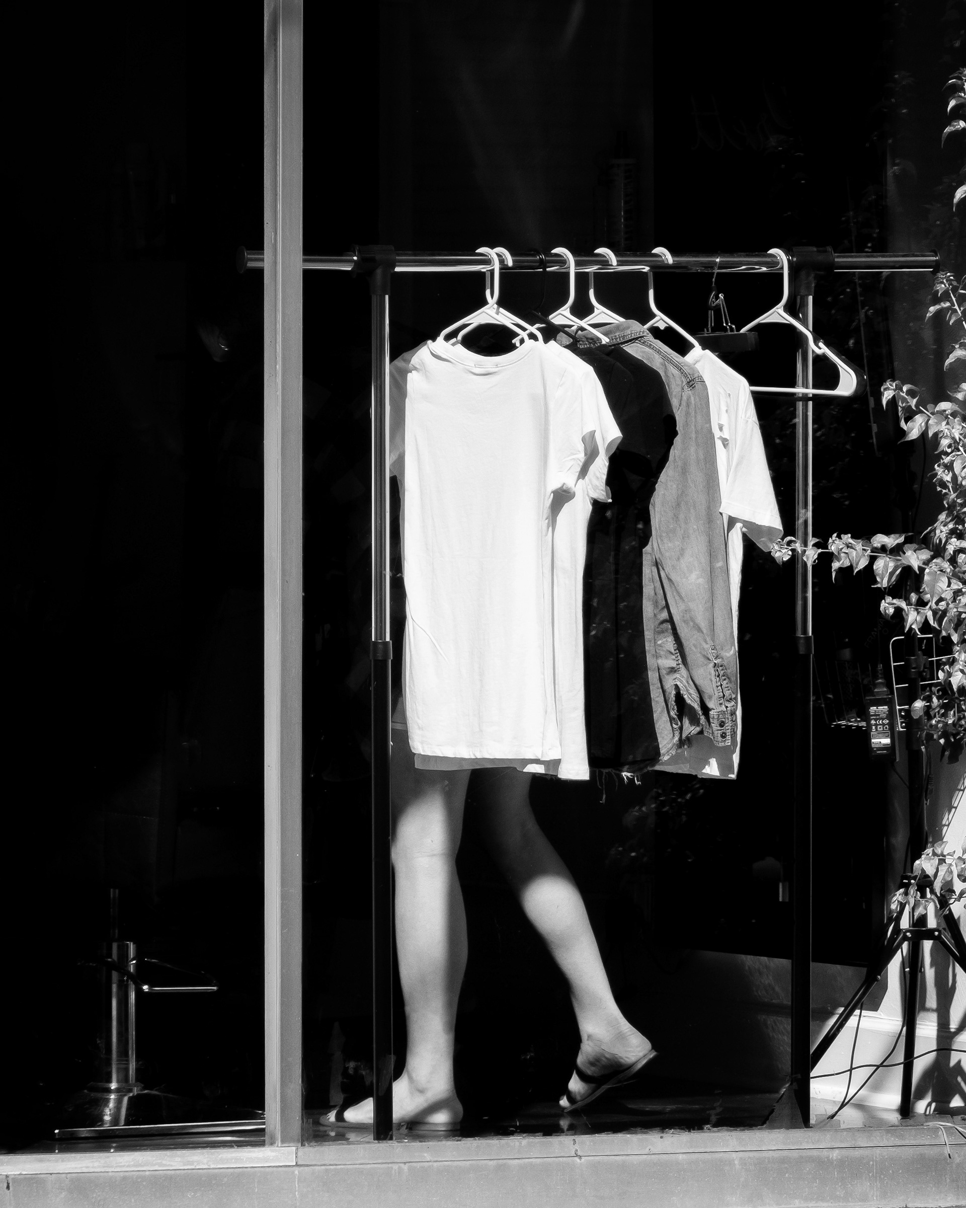 Legs