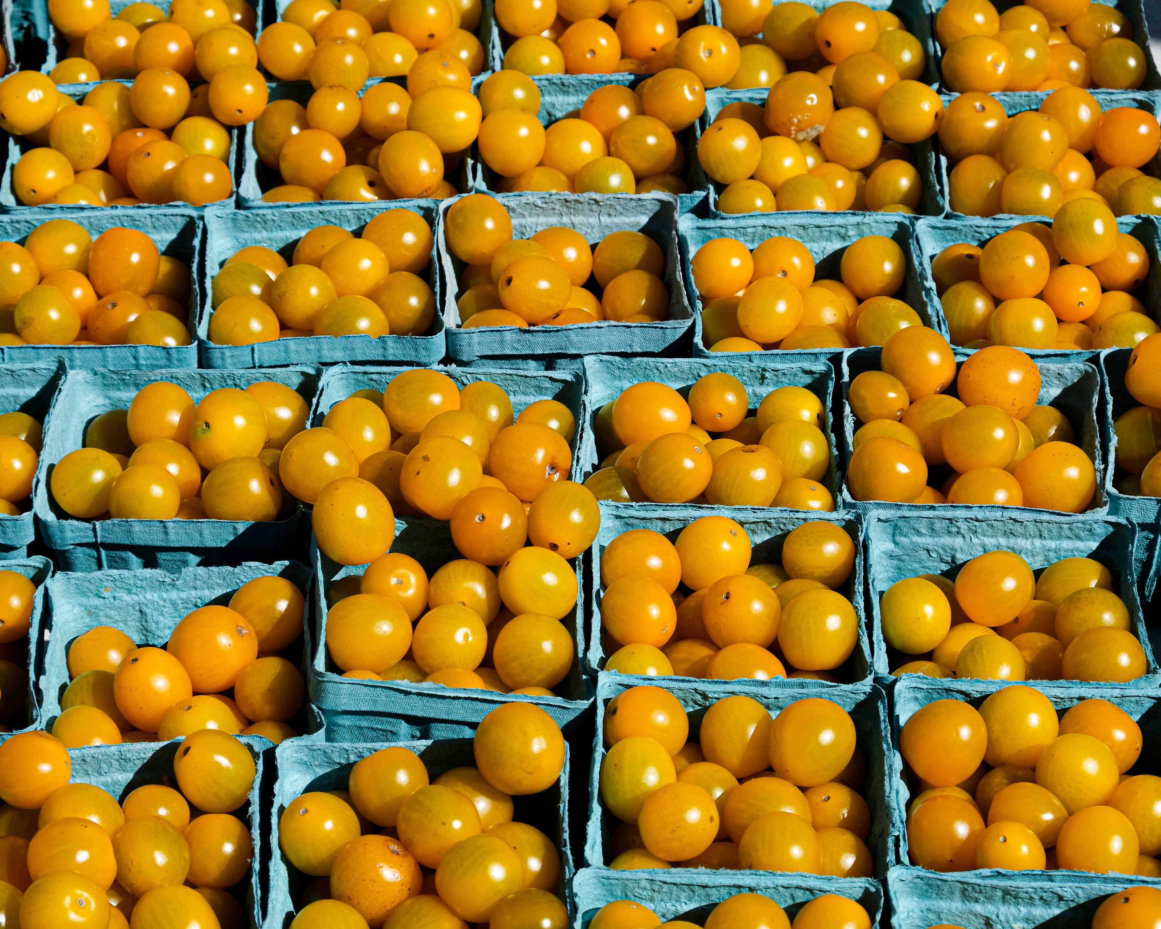 Yellow Tomatoes