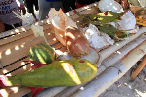 Souvenirs of Shells and Local Fish – green painted that all its body content are taken out and sewn so that its light and you can hang it or put it on the table.