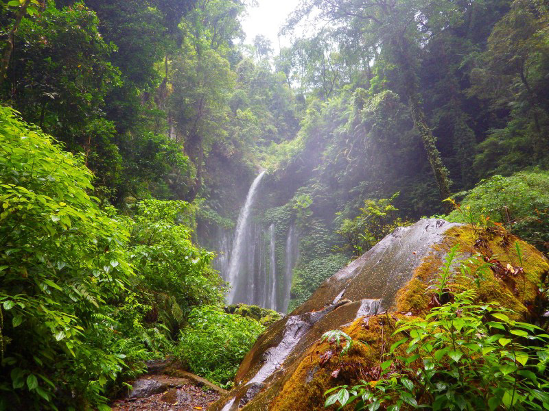 Sendang Gile Waterfall Lush Greenery Beauty