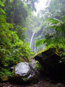 Tiu Kelep Waterfall
